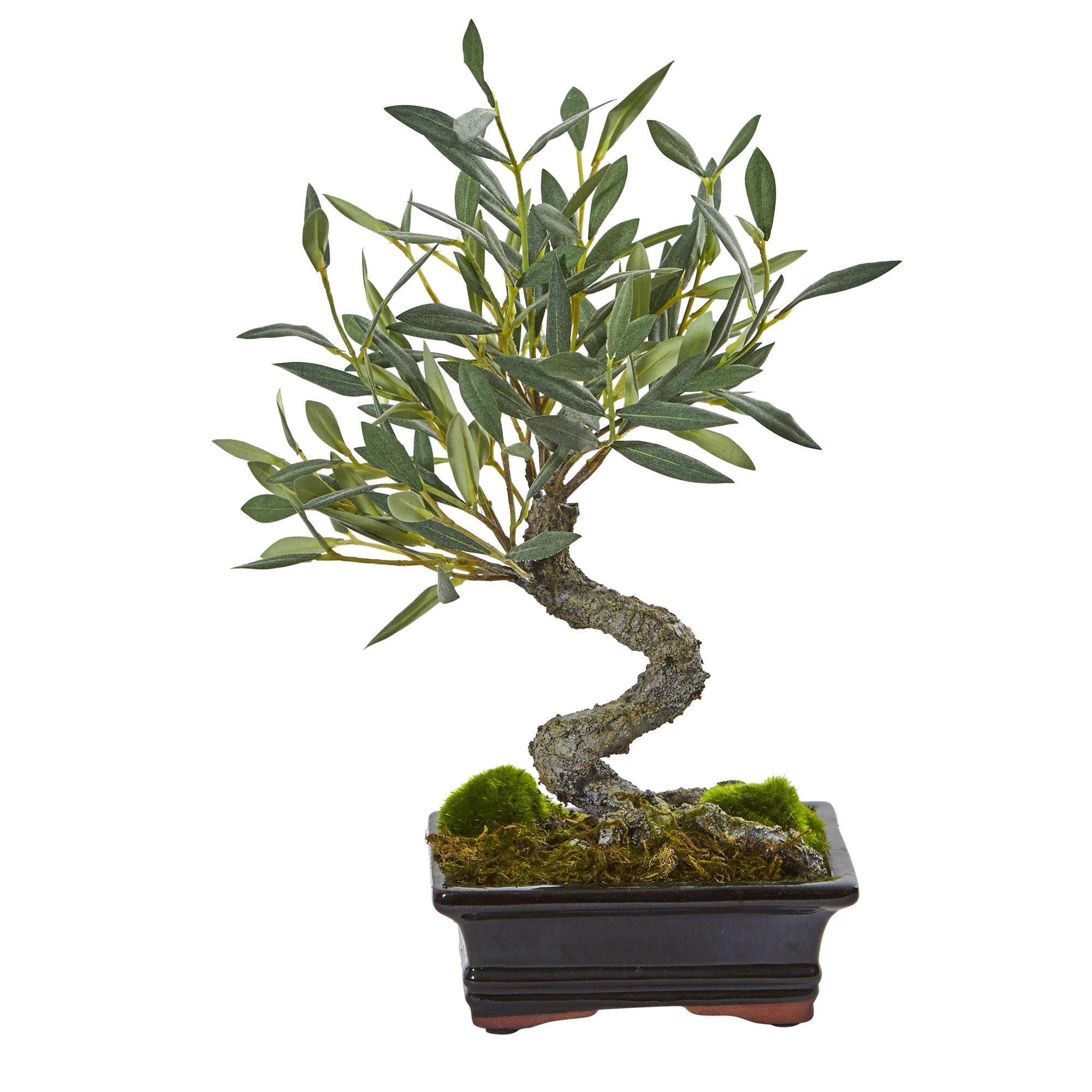 14 - inch Mini Olive Artificial Bonsai Tree | Zigeze