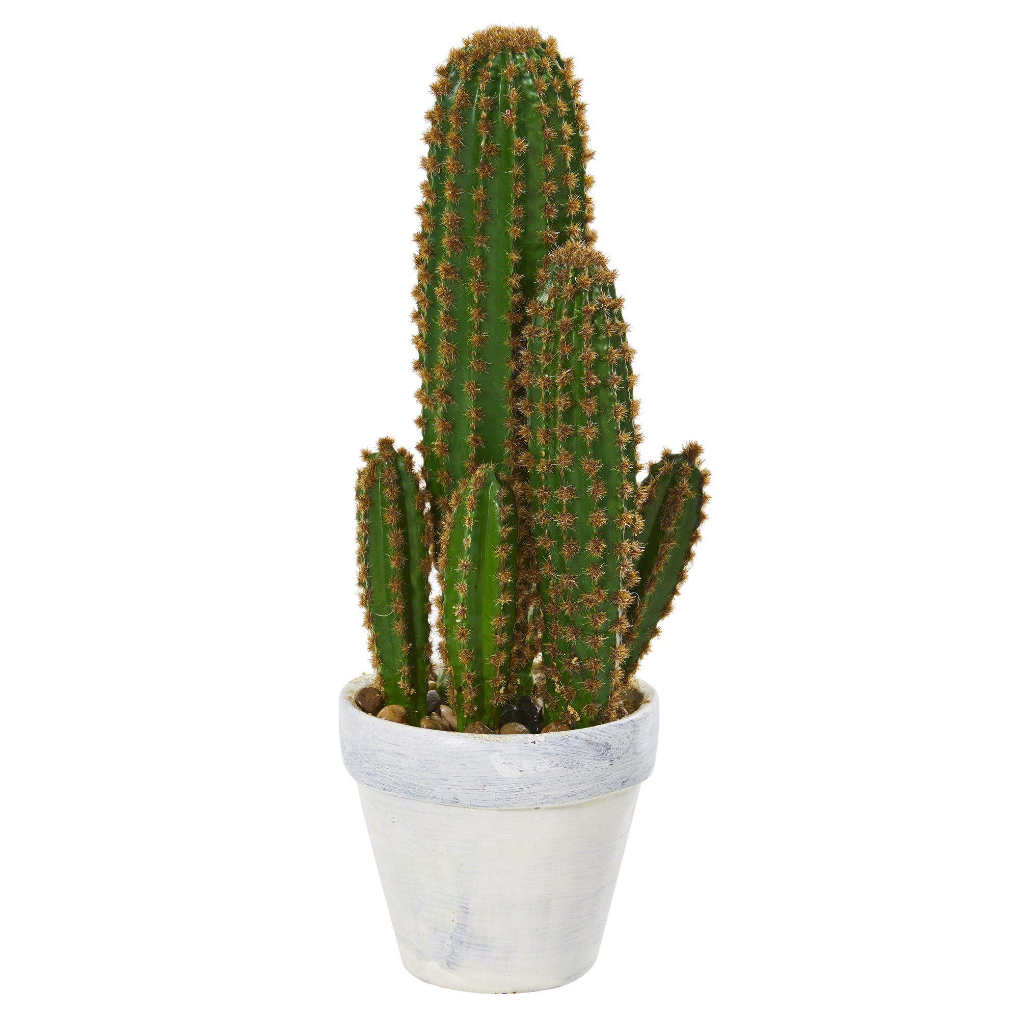1.5' Faux Cactus Succulent Plant in Planter | Zigeze
