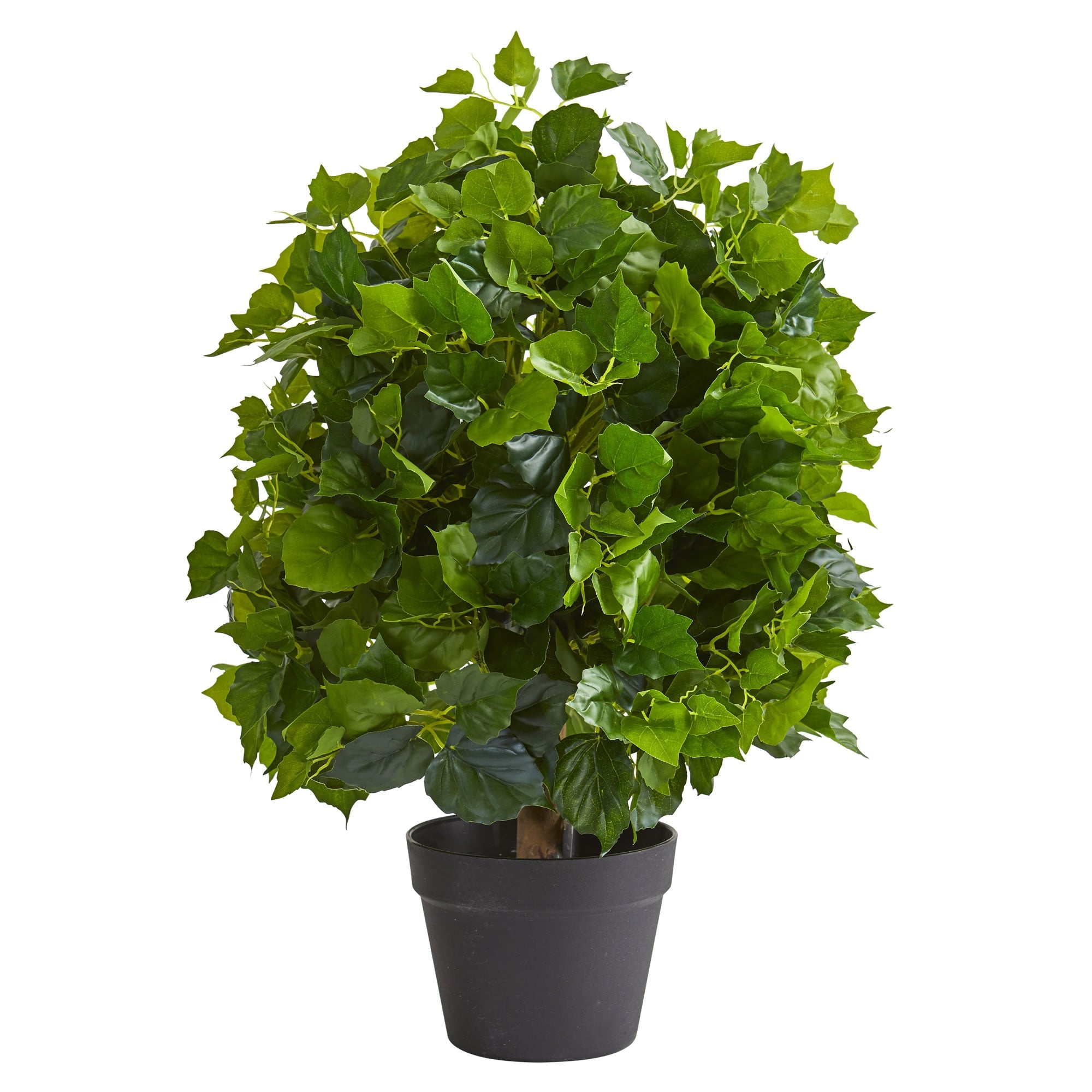 2 - Foot Realistic Artificial Ficus Silk Tree | Zigeze