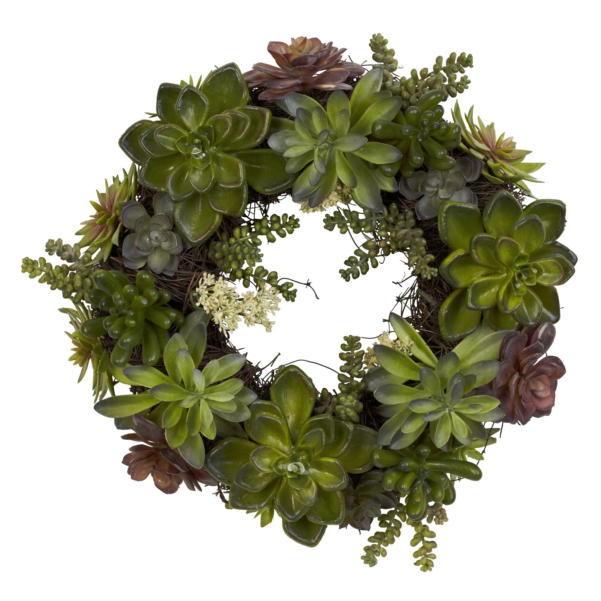 20" Wreath with Succulent and Magnolia Greens | Zigeze