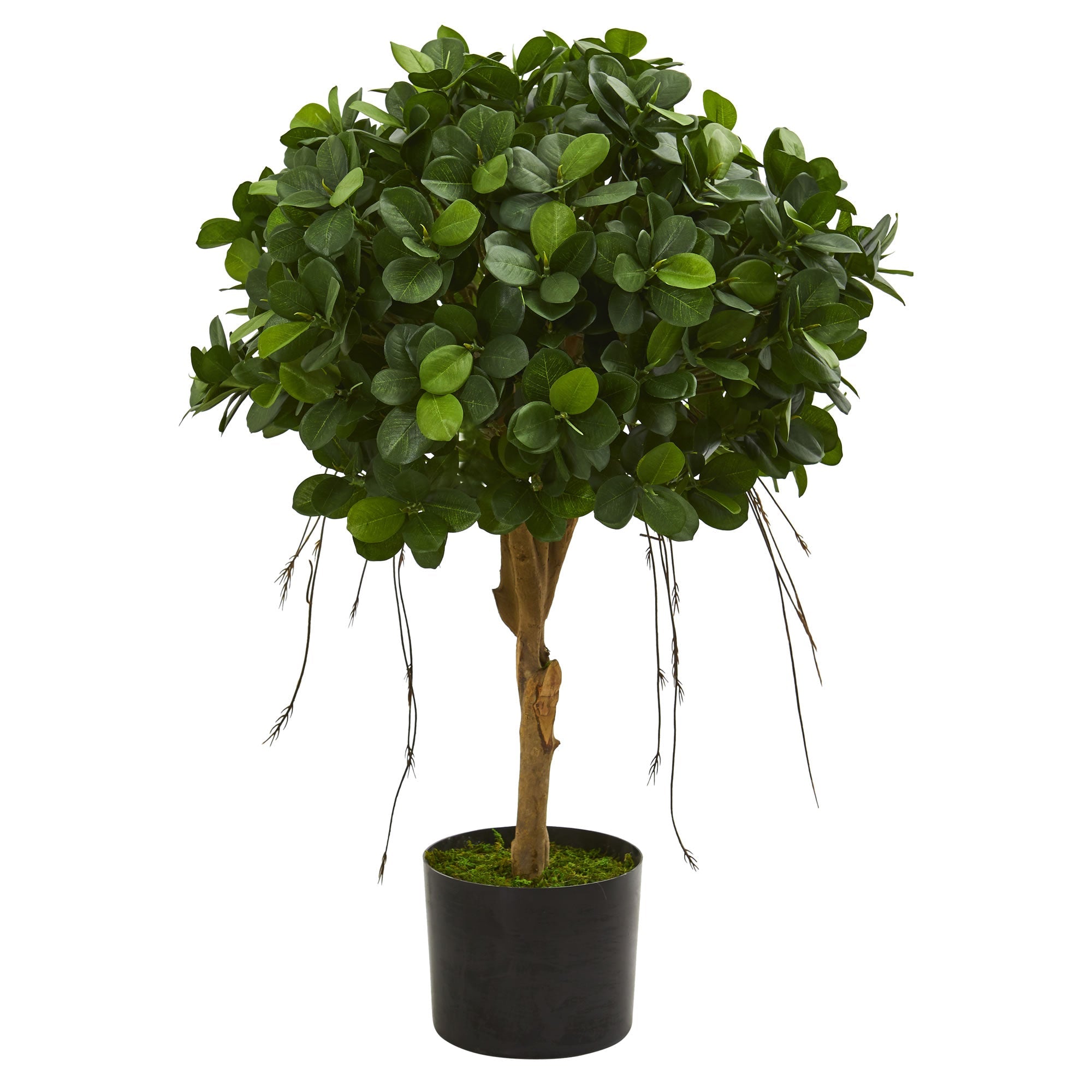 2.5 - Foot Panda Ficus Artificial Silk Tree | Zigeze
