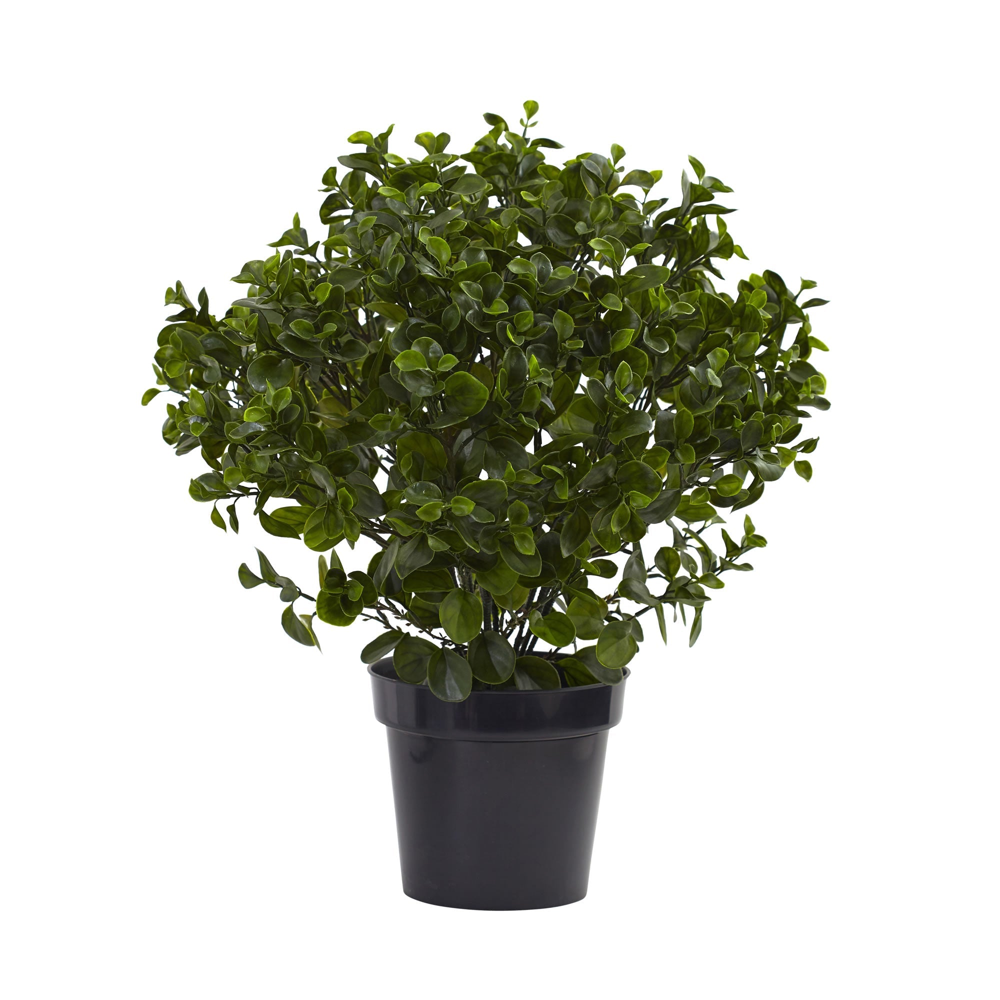 28" Artificial Peperomia Indoor/Outdoor Plant | Zigeze