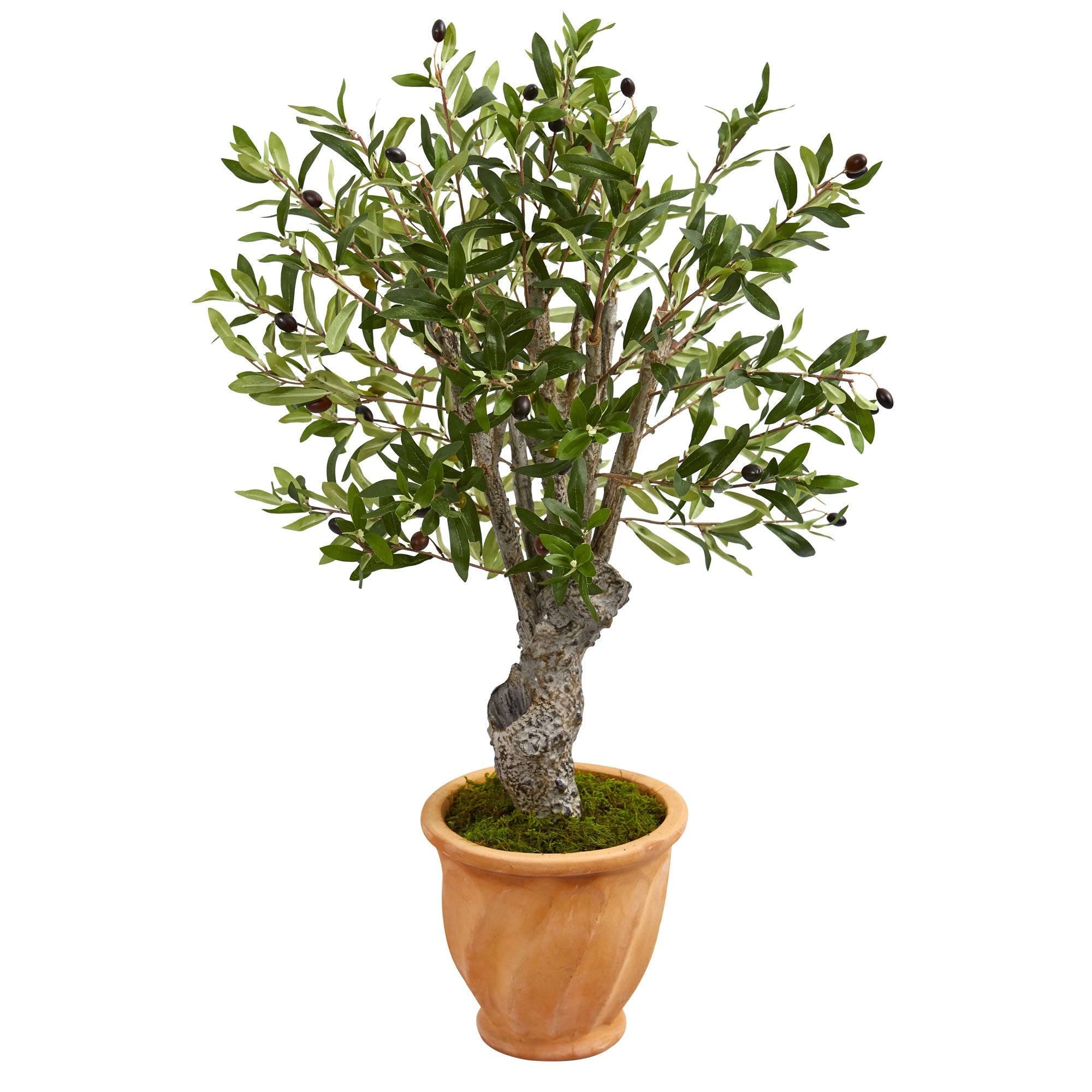 3' Olive Artificial Tree in Terracotta Planter | Zigeze