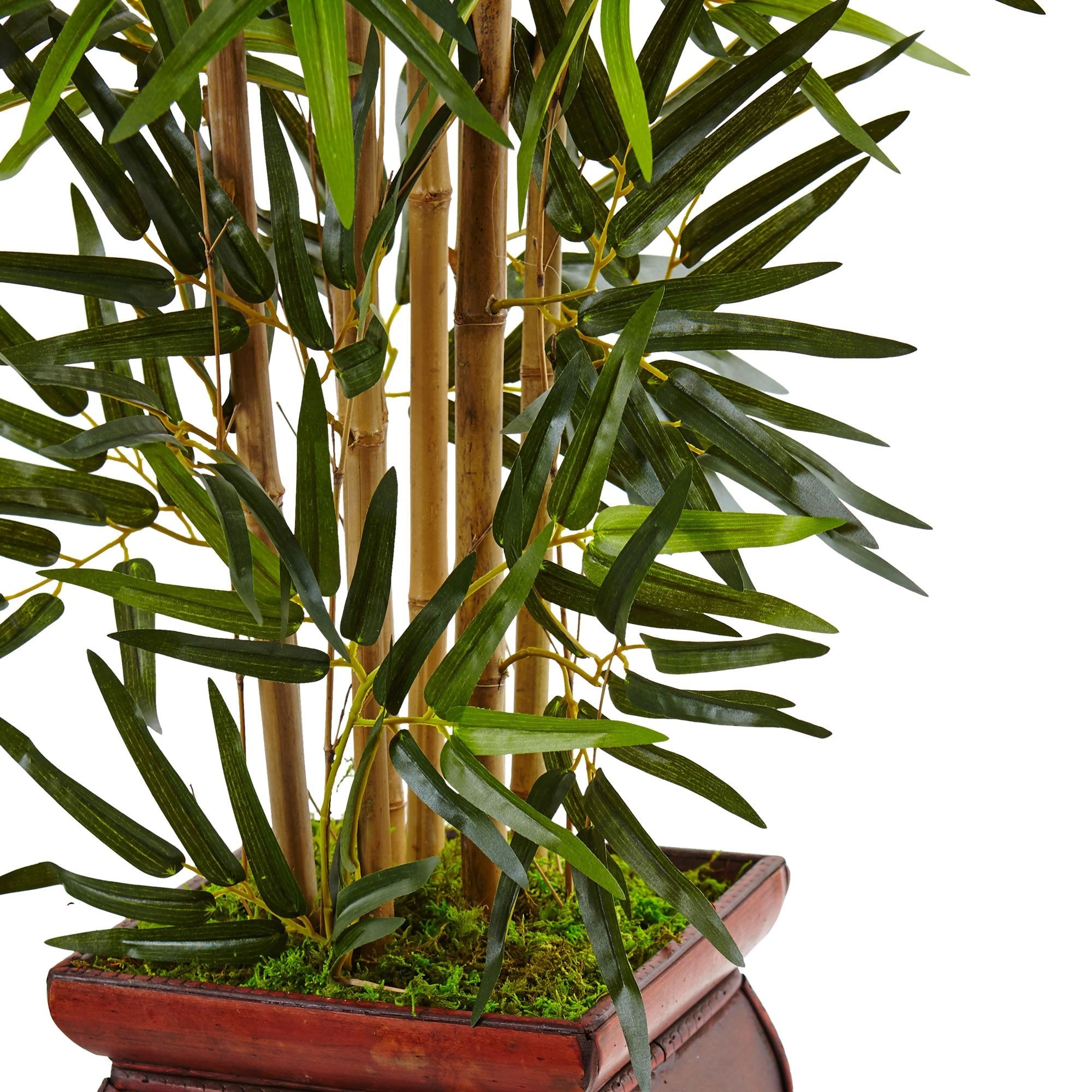 3.5' Bamboo Tree in Wooden Decorative Planter | Zigeze