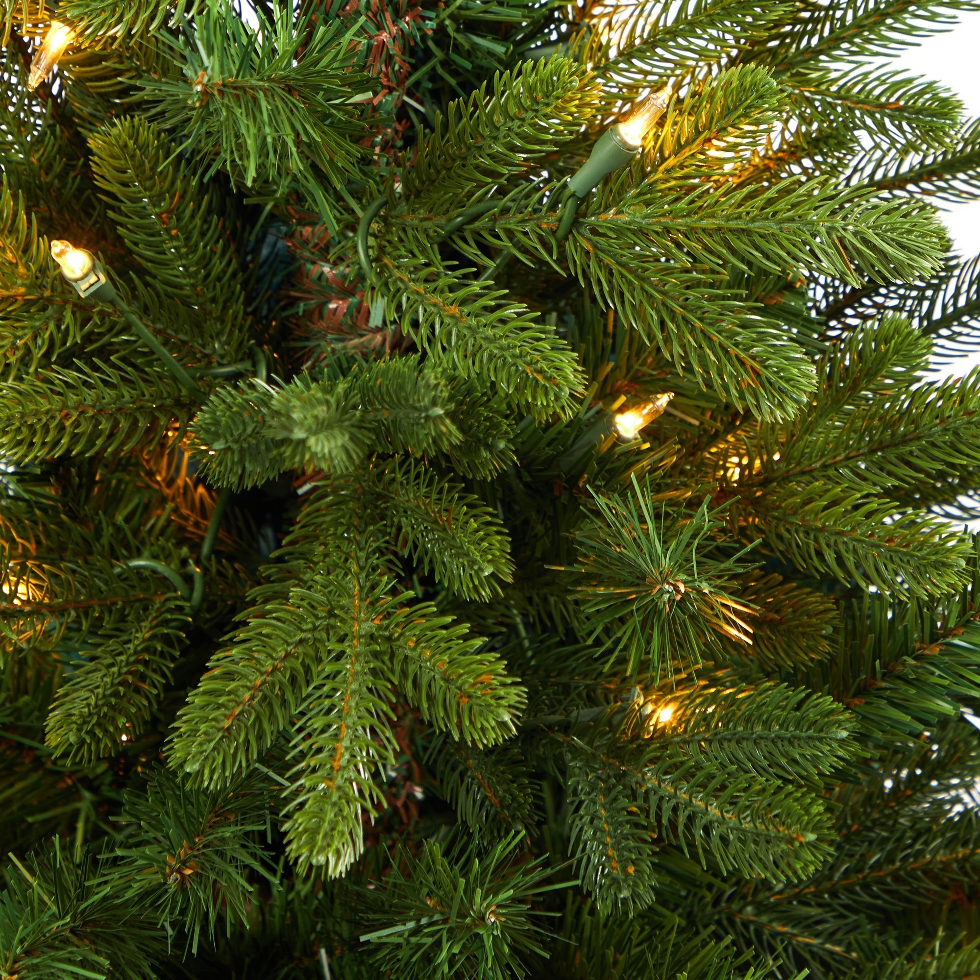 3.5' Washington Fir with 50 Clear Lights in Tower Planter | Zigeze