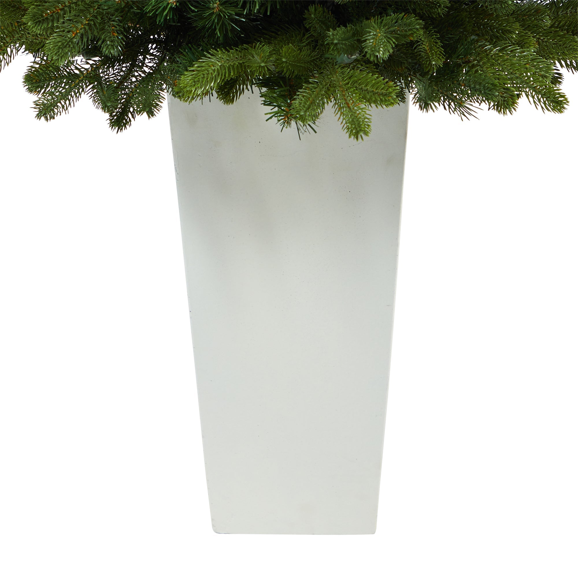 3.5' Washington Fir with 50 Clear Lights in Tower Planter | Zigeze