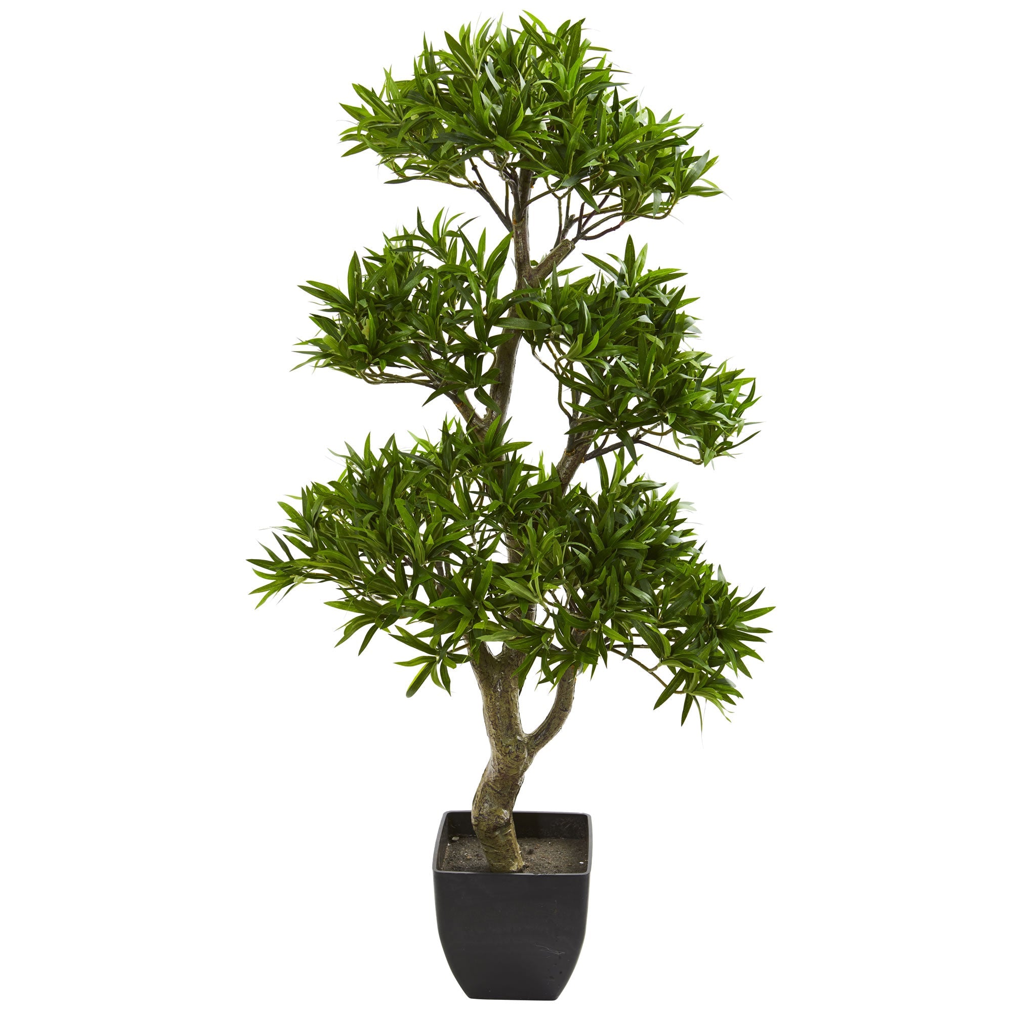 37" Bonsai Styled Podocarpus Artificial Tree | Zigeze