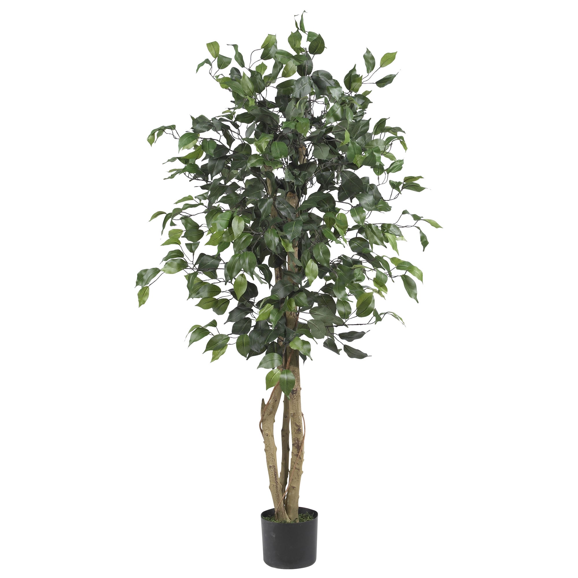 4' Artificial Ficus Silk Tree with 504 Leaves | Zigeze