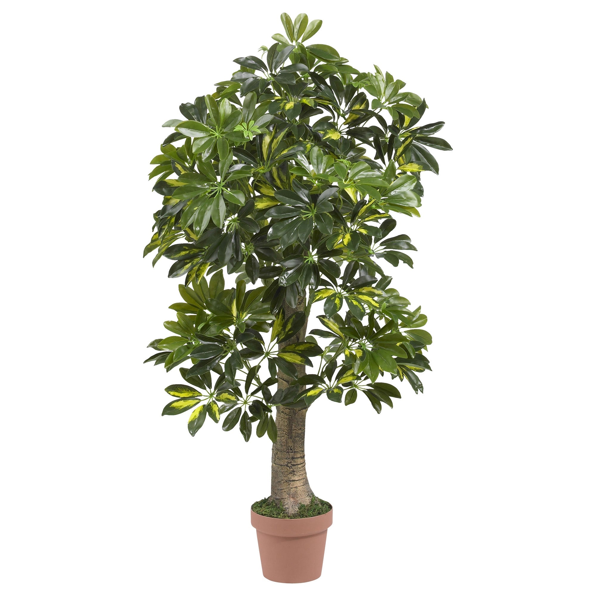 4' Artificial Schefflera Silk Tree (Real Touch) | Zigeze