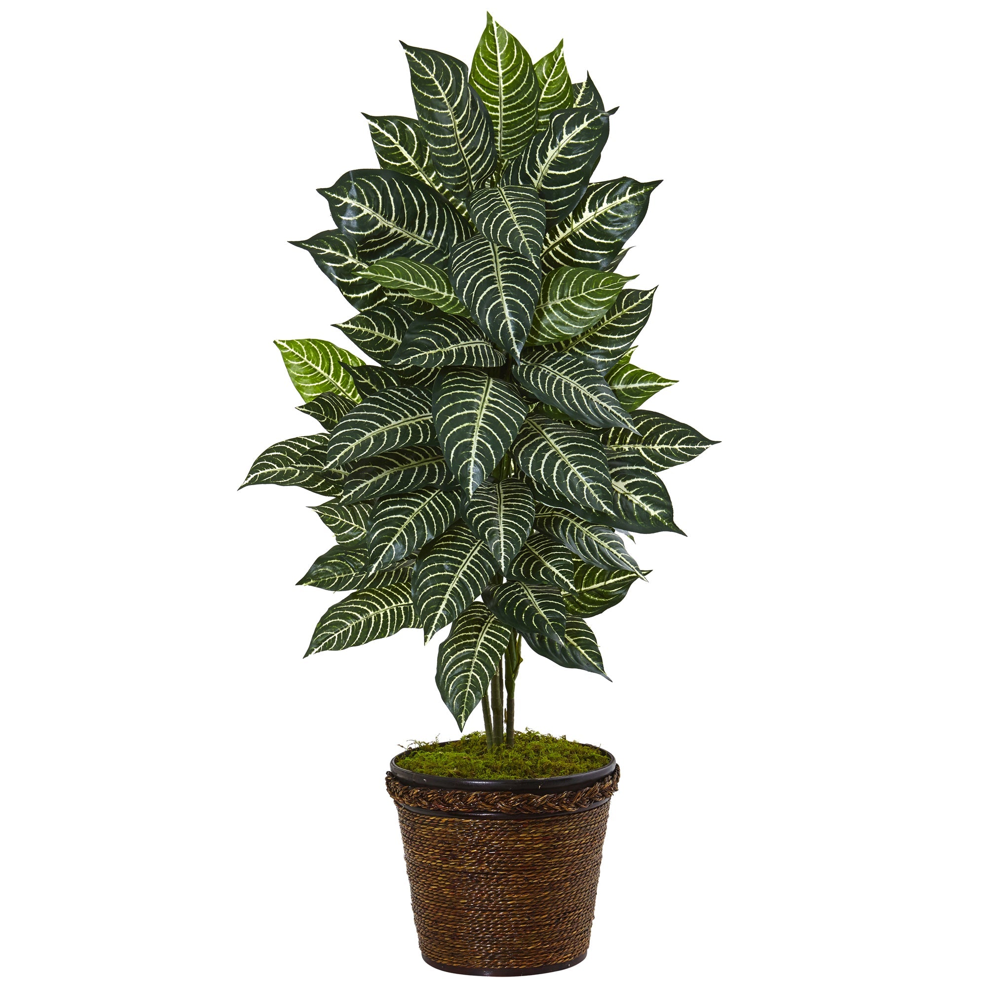 4' Artificial Zebra Plant in Coiled Rope Planter | Zigeze