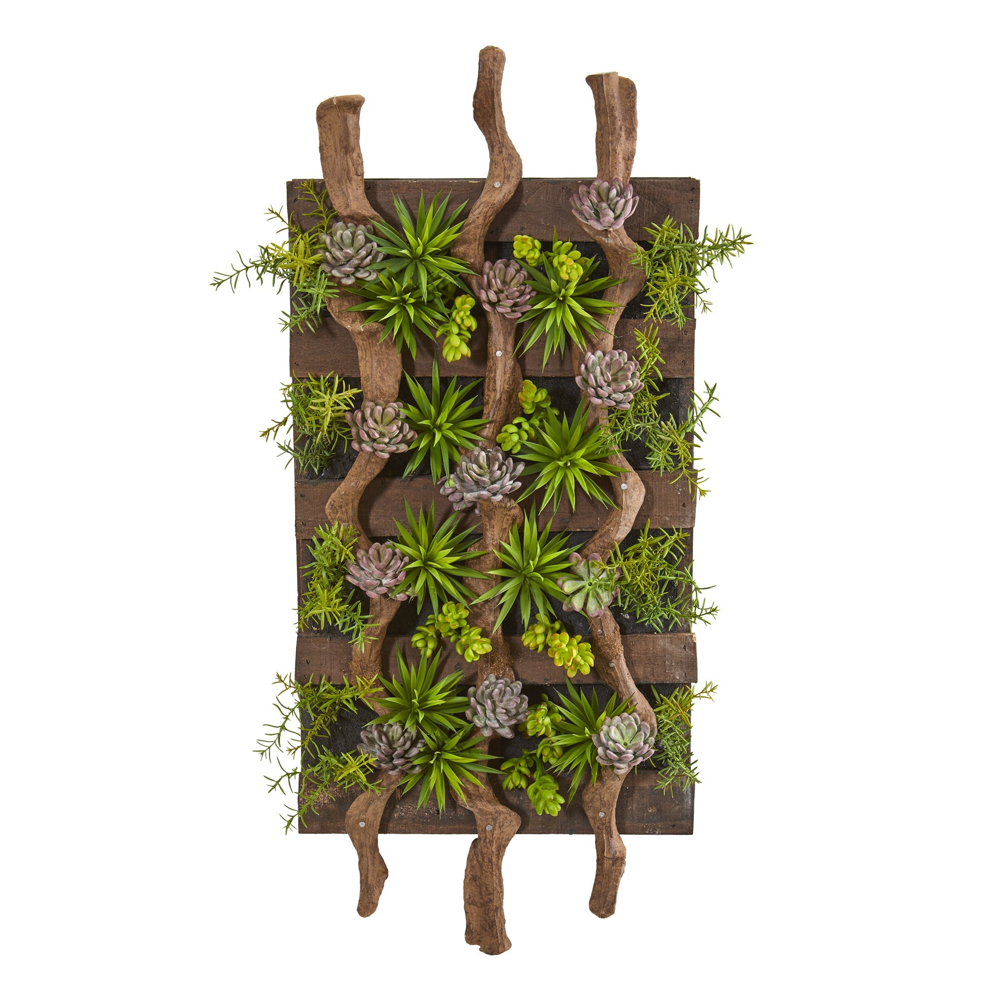 41" x 19" Mixed Succulent Artificial Living Wall | Zigeze