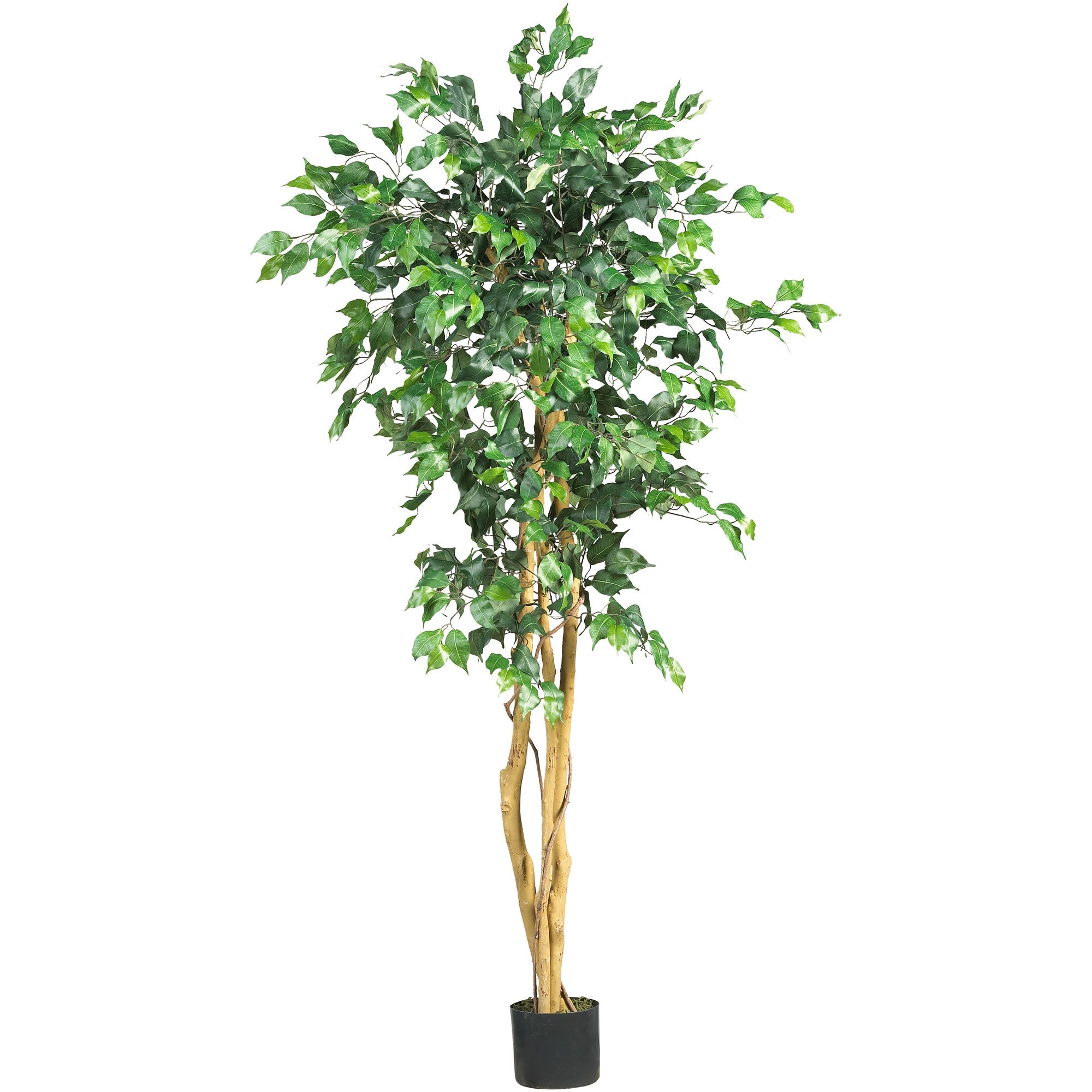 5' Artificial Ficus Silk Tree with 756 Leaves | Zigeze