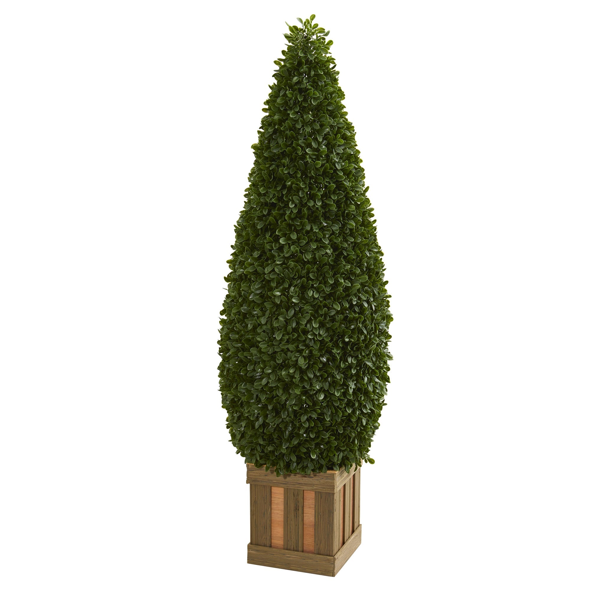 5' Boxwood Cone Topiary with Decorative Planter | Zigeze