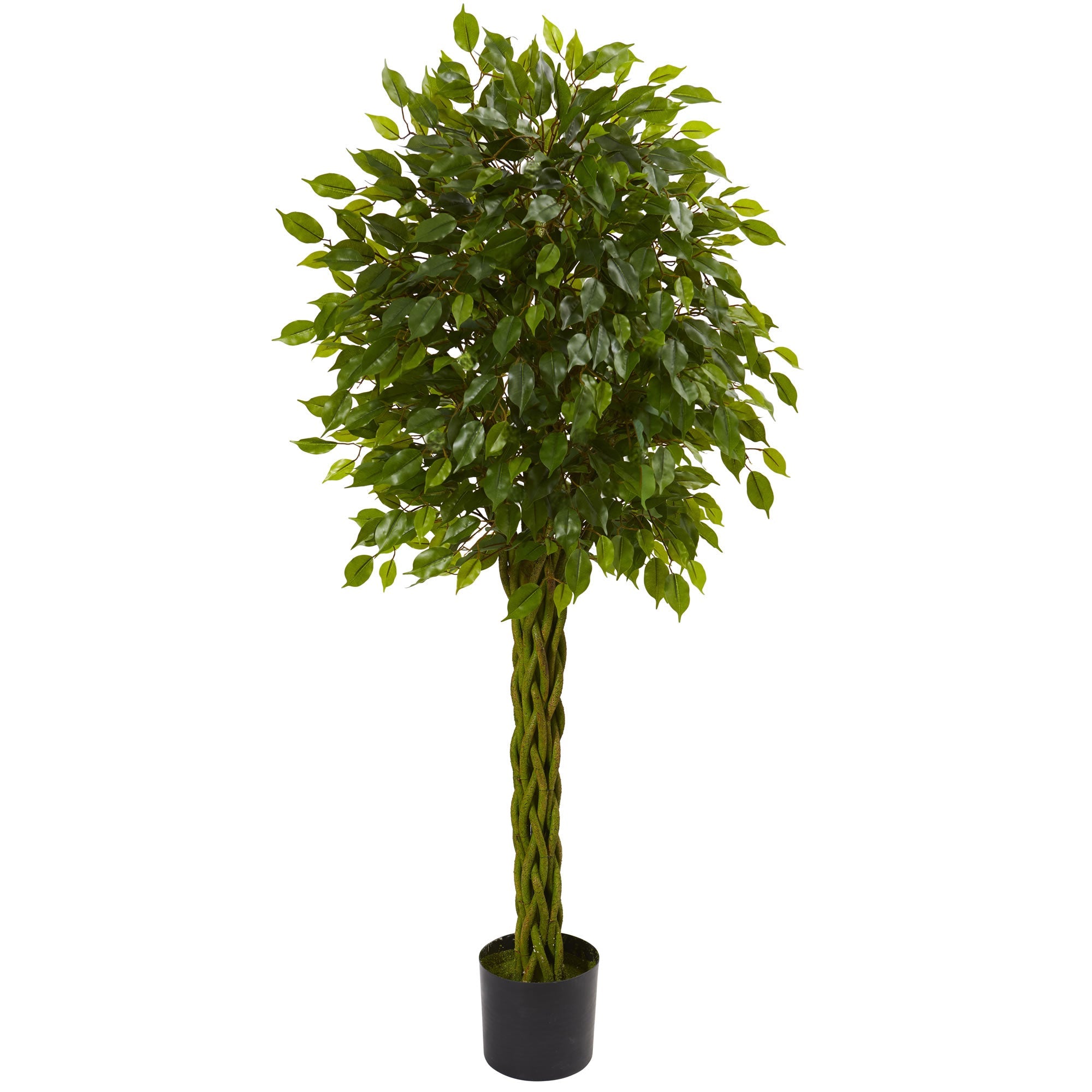 5' Ficus Artificial Tree with Woven Trunk | Zigeze