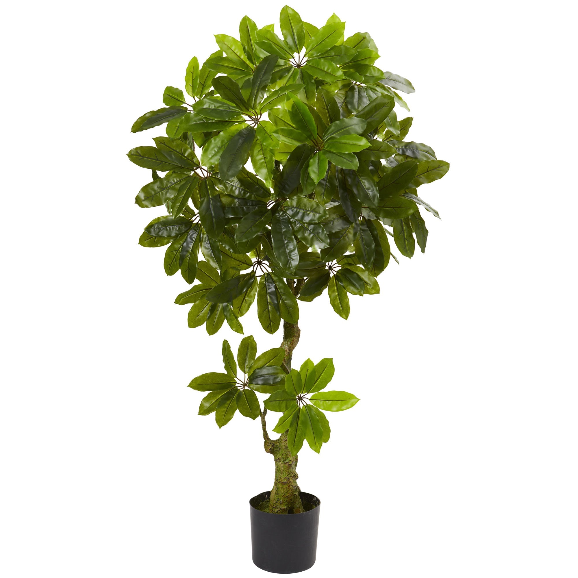 5 - Foot Artificial Schefflera Indoor/Outdoor Tree | Zigeze