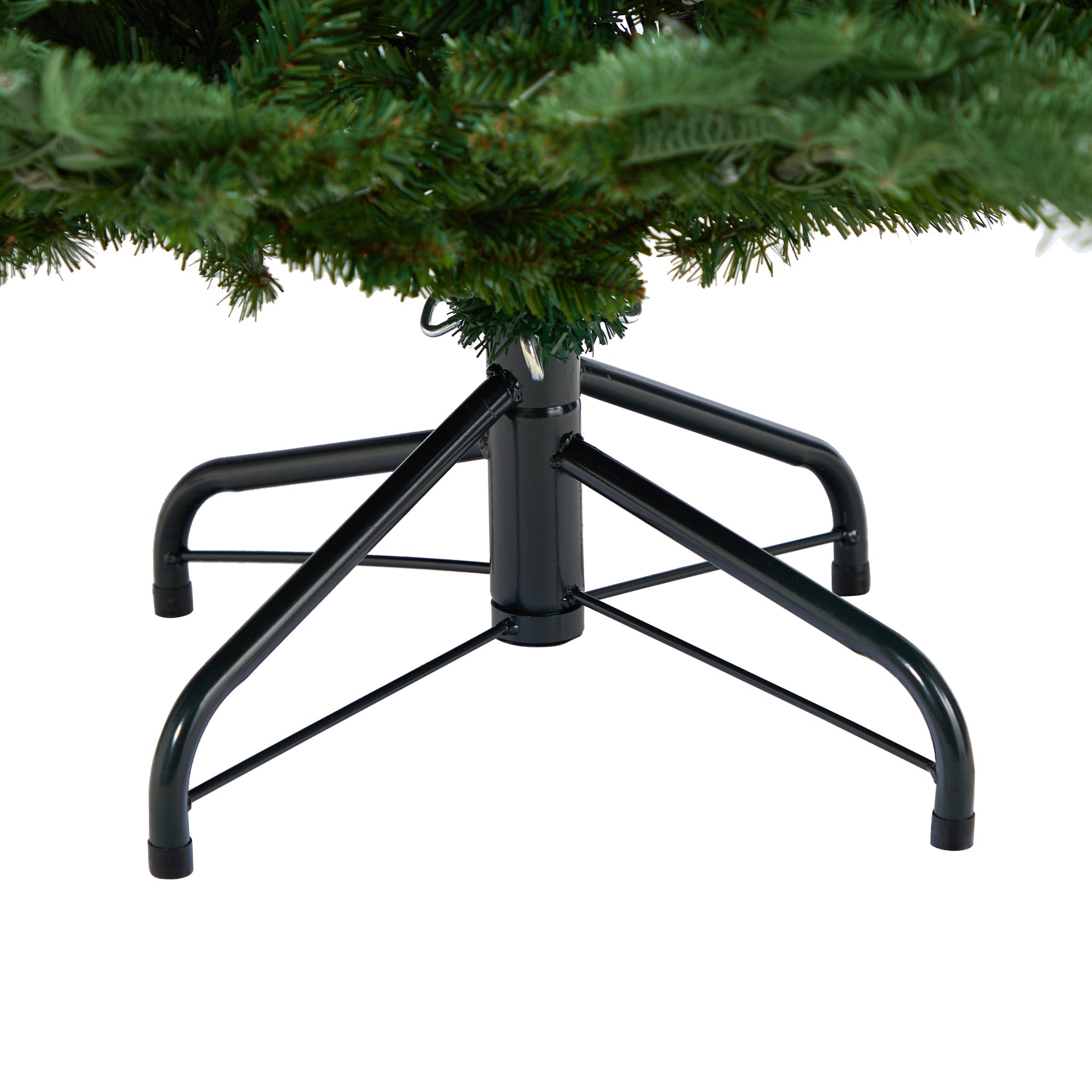 5' South Carolina Spruce Tree with 300 White Warm Lights | Zigeze