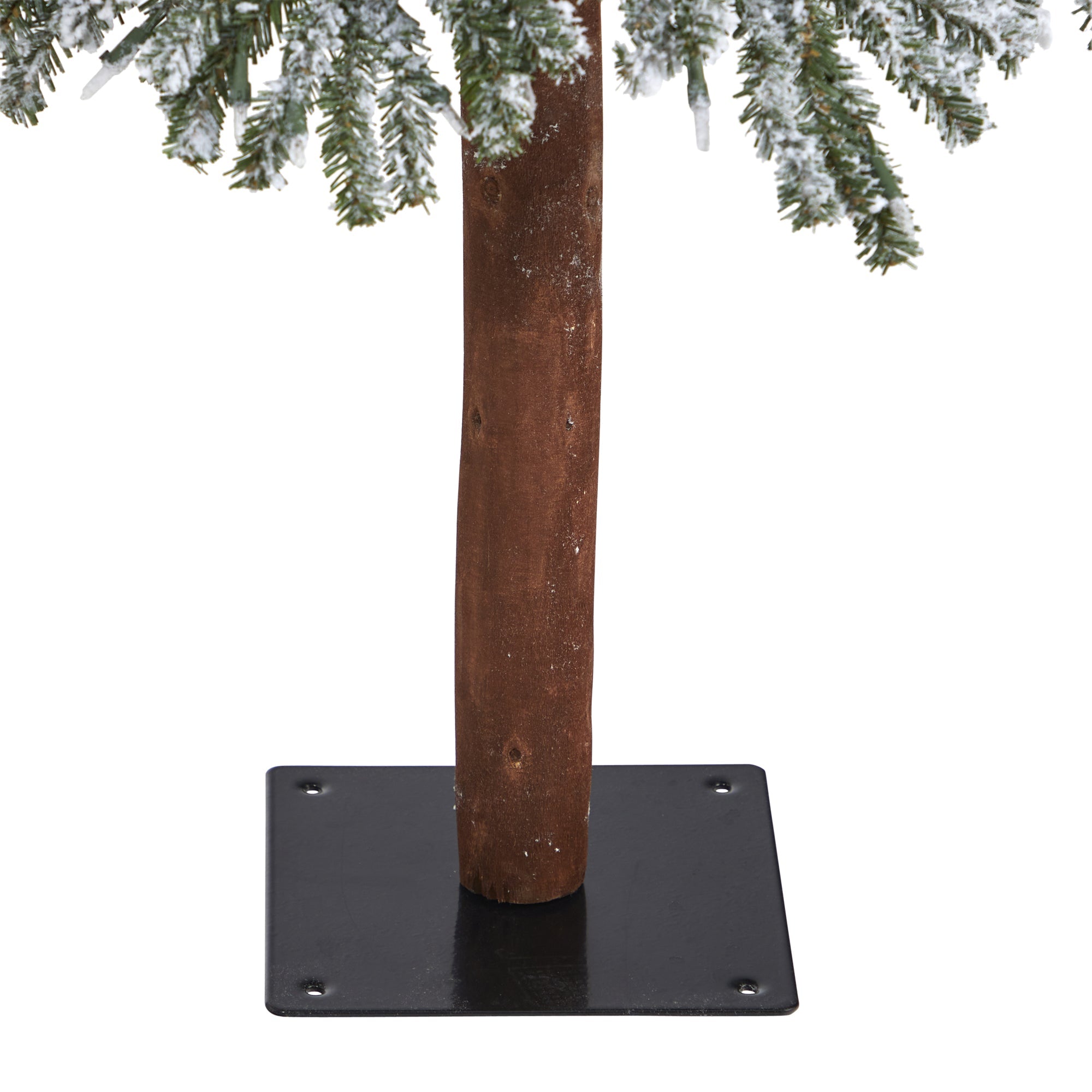 50" Frosted Swiss Pine Tree with 100 Lights | Zigeze