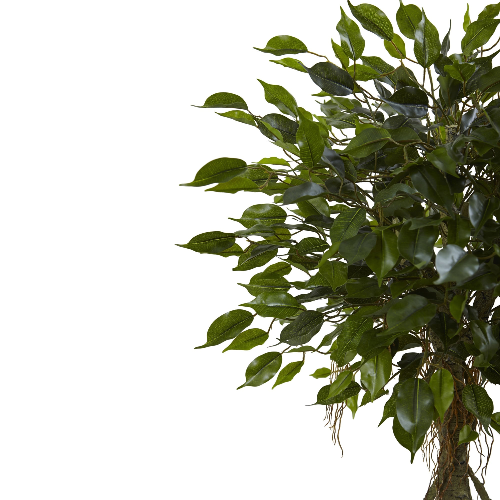 52 - inch Artificial Ficus Tree with White Planter | Zigeze
