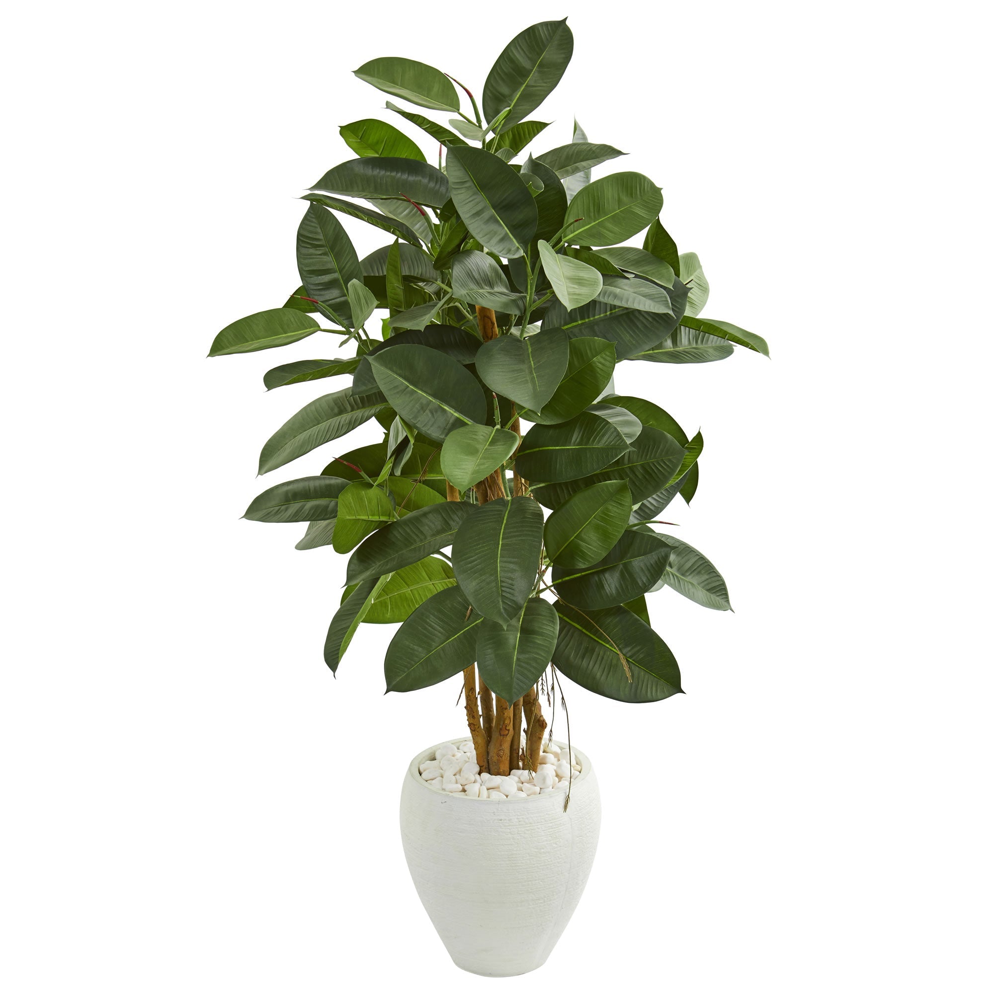 53" Artificial Rubber Tree in White Planter | Zigeze