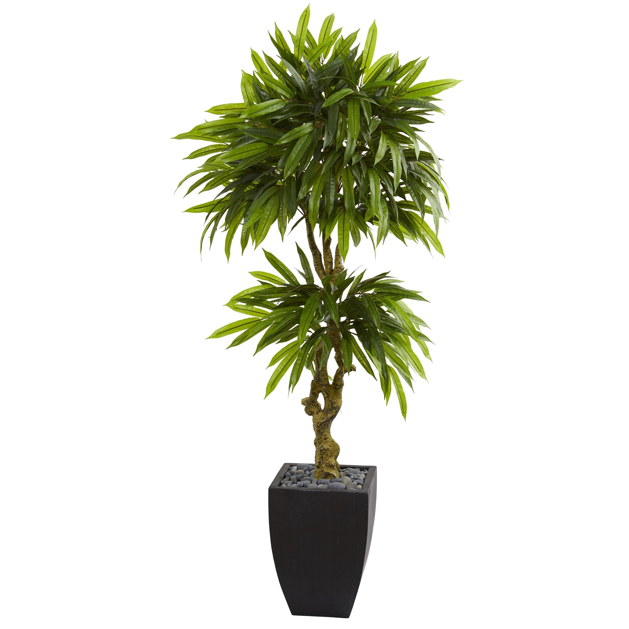 5.5' Mango Artificial Tree in Black Wash Planter | Zigeze