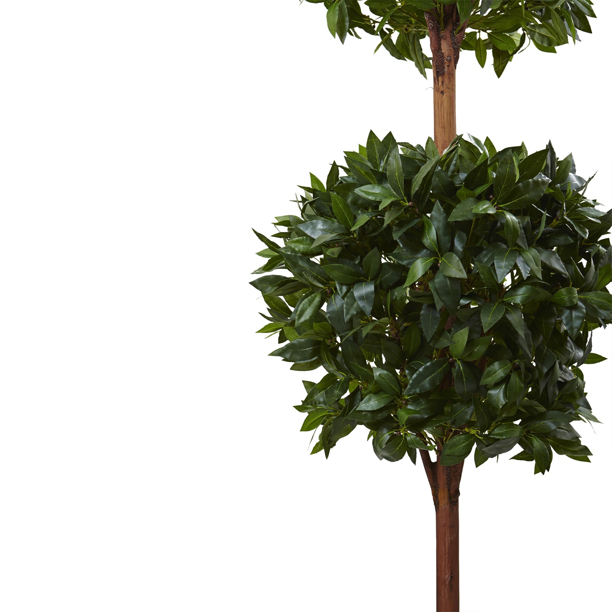 6' Double Ball Topiary Tree with European Barrel Planter | Zigeze