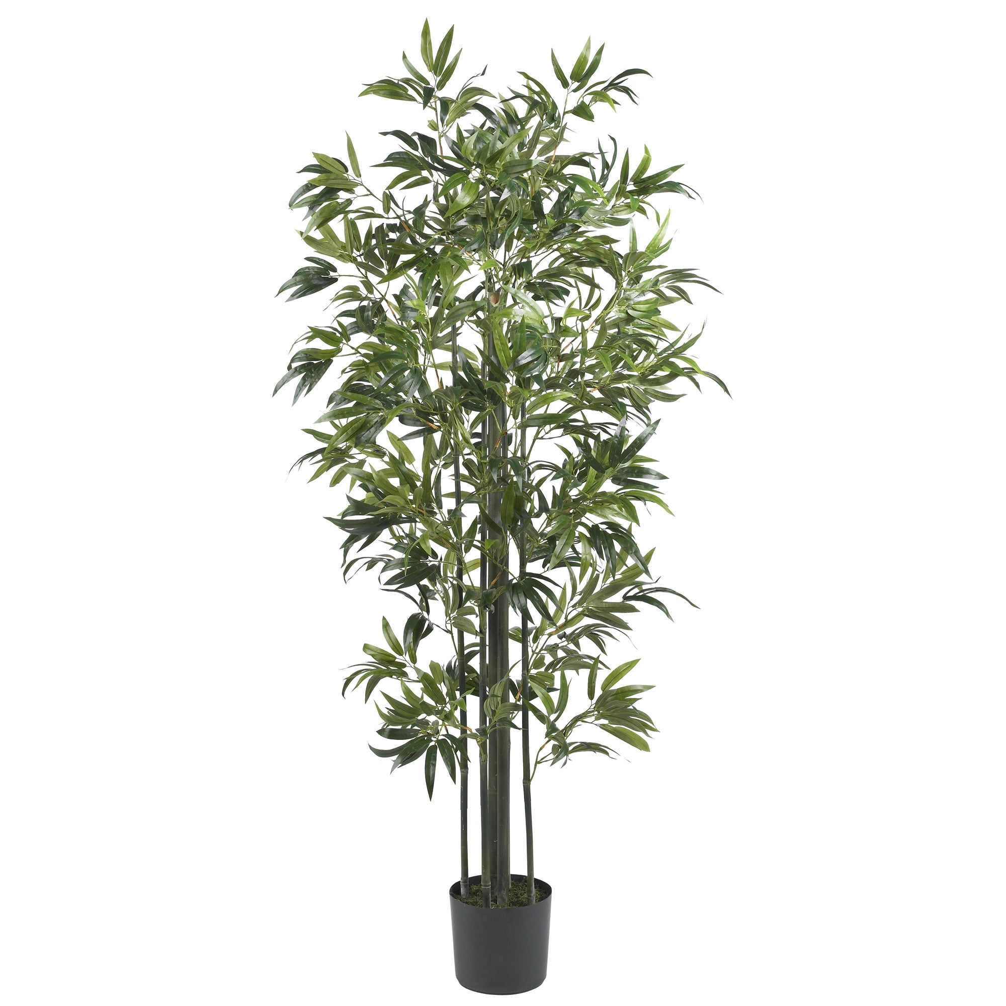 6 - Foot Artificial Bamboo Silk Tree (Green Trunks) | Zigeze