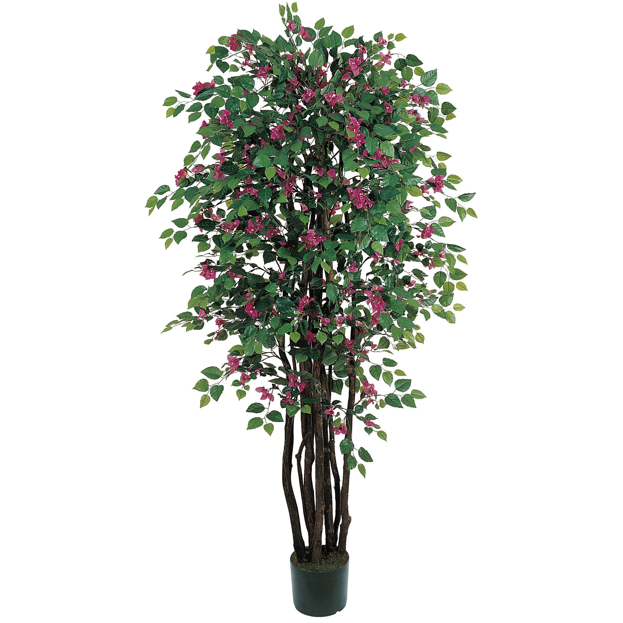 6 - Foot Artificial Bougainvillea Silk Tree | Zigeze