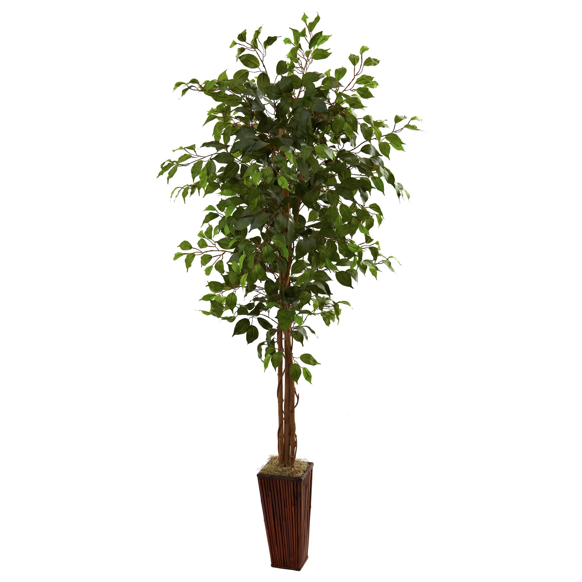 6 - Foot Artificial Ficus Tree with Bamboo Planter | Zigeze