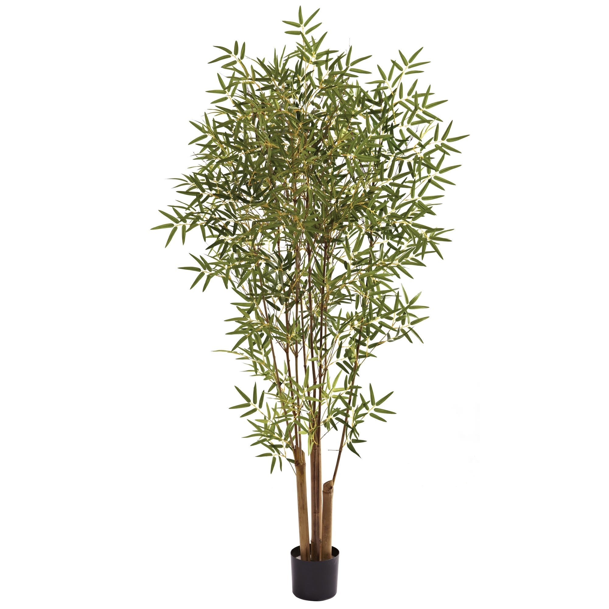 6 - Foot Artificial Japanese Bamboo Silk Tree | Zigeze