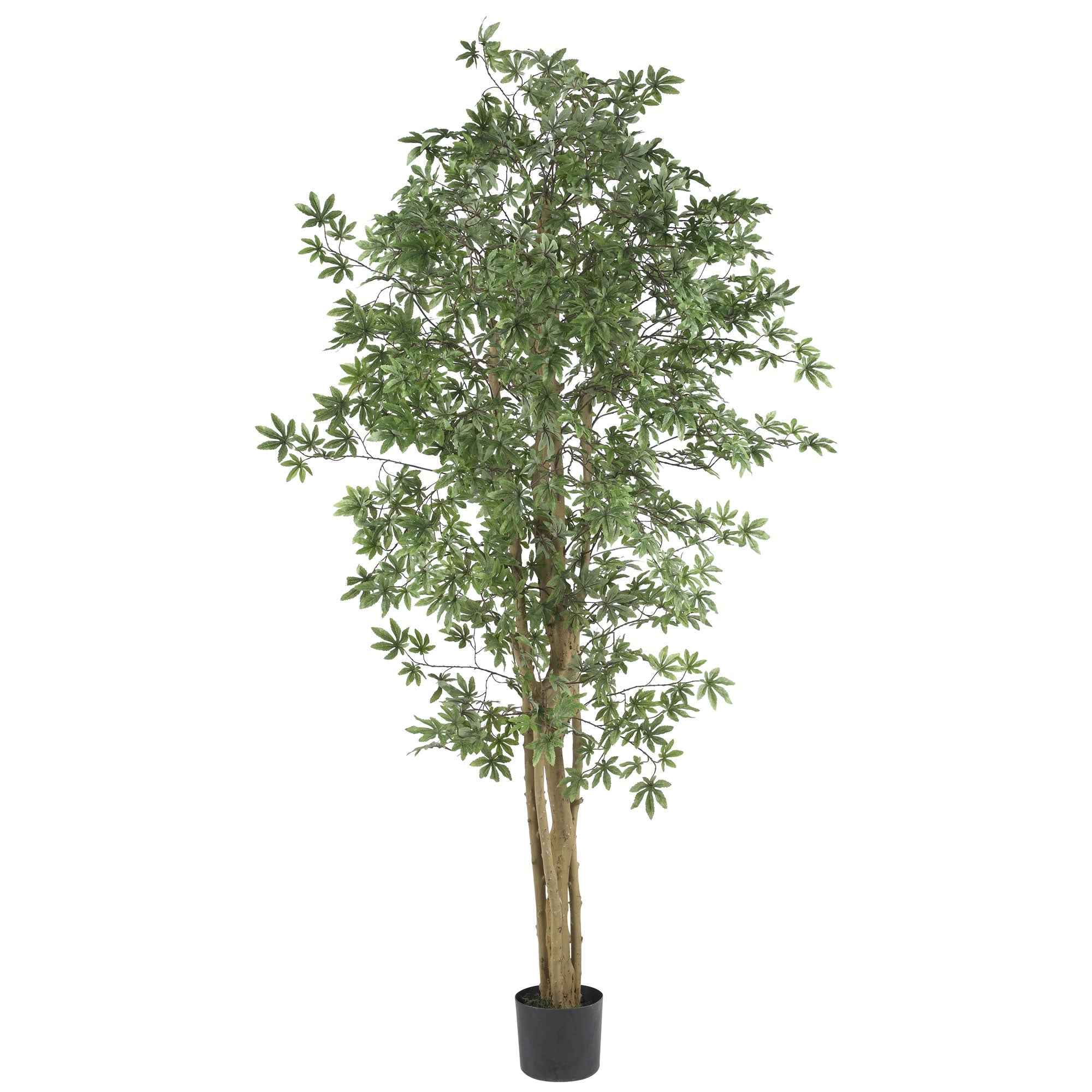 6 - Foot Artificial Japanese Maple Silk Tree | Zigeze