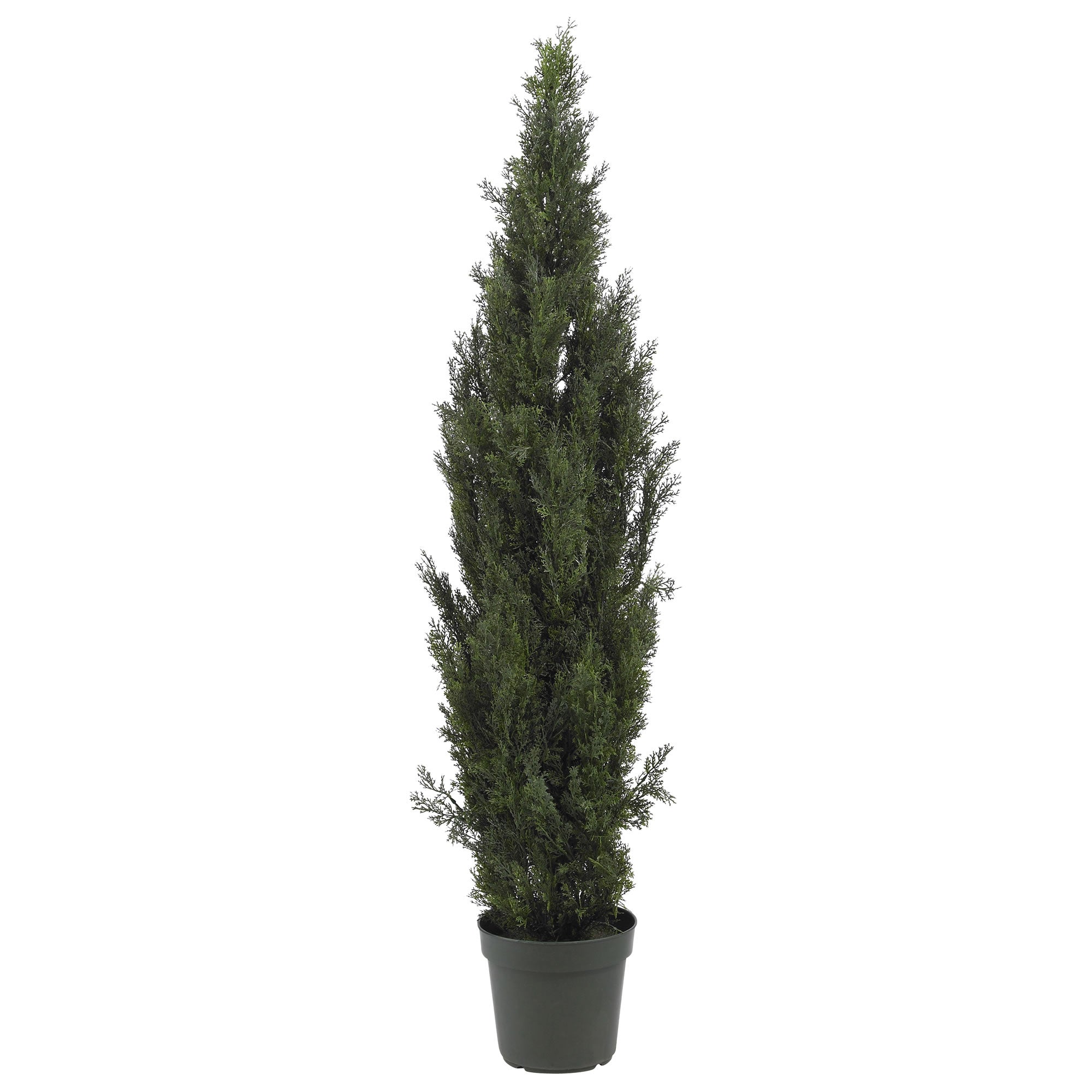 6 - Foot Artificial Mini Cedar Pine Silk Tree | Zigeze