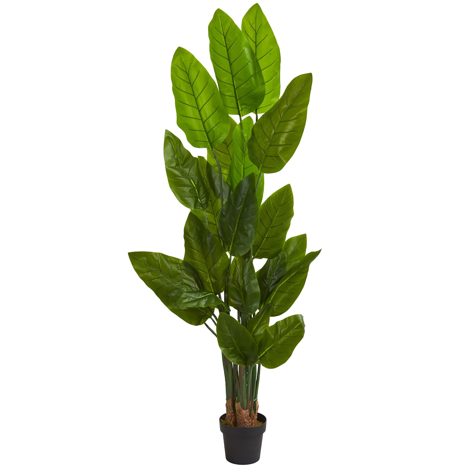 6 - Foot Canna Artificial Tree with Lifelike Green Leaves | Zigeze