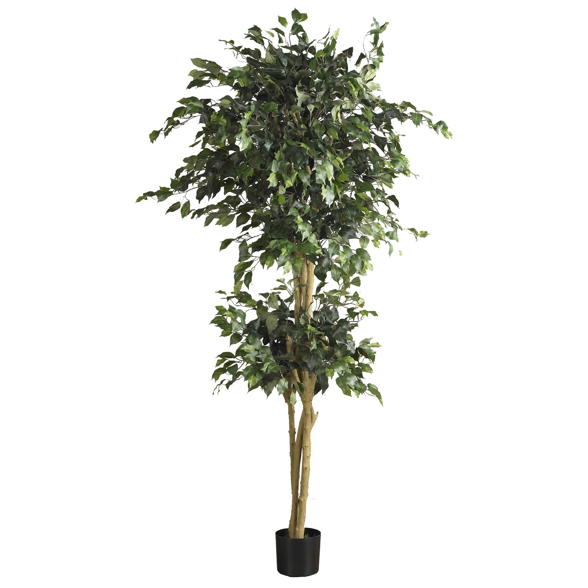 6 - Foot Double Ball Artificial Ficus Silk Tree | Zigeze