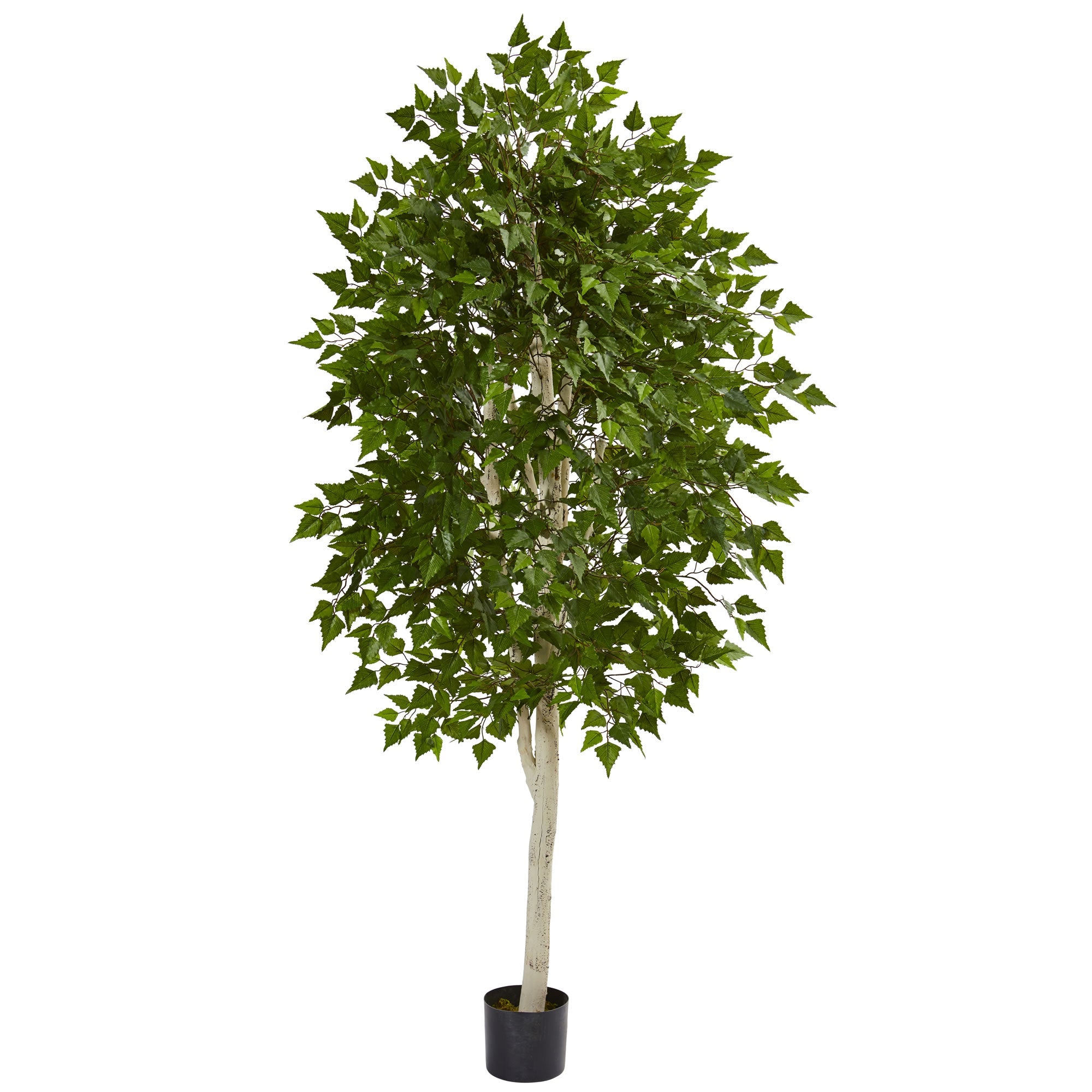 6 - Foot Realistic Birch Artificial Silk Tree | Zigeze