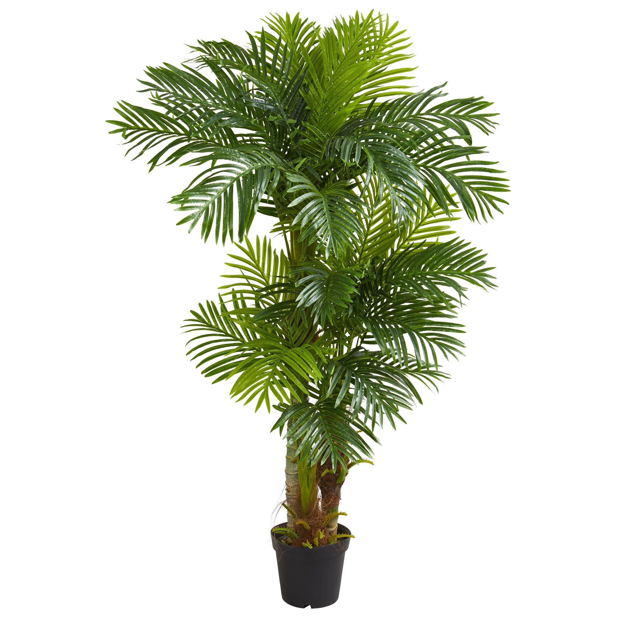 6' Hawaii Artificial Palm with Lush Green Leaves | Zigeze