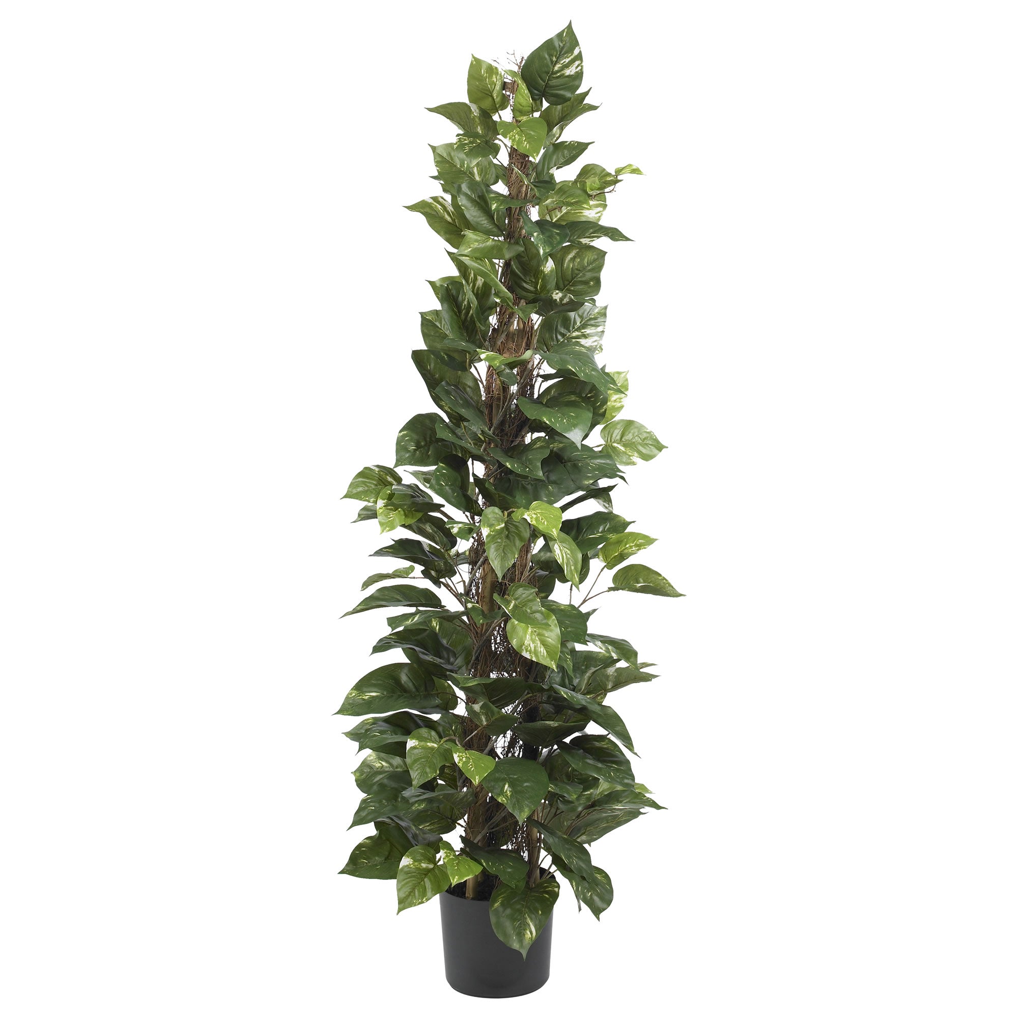 63" Artificial Pothos Climbing Silk Plant | Zigeze