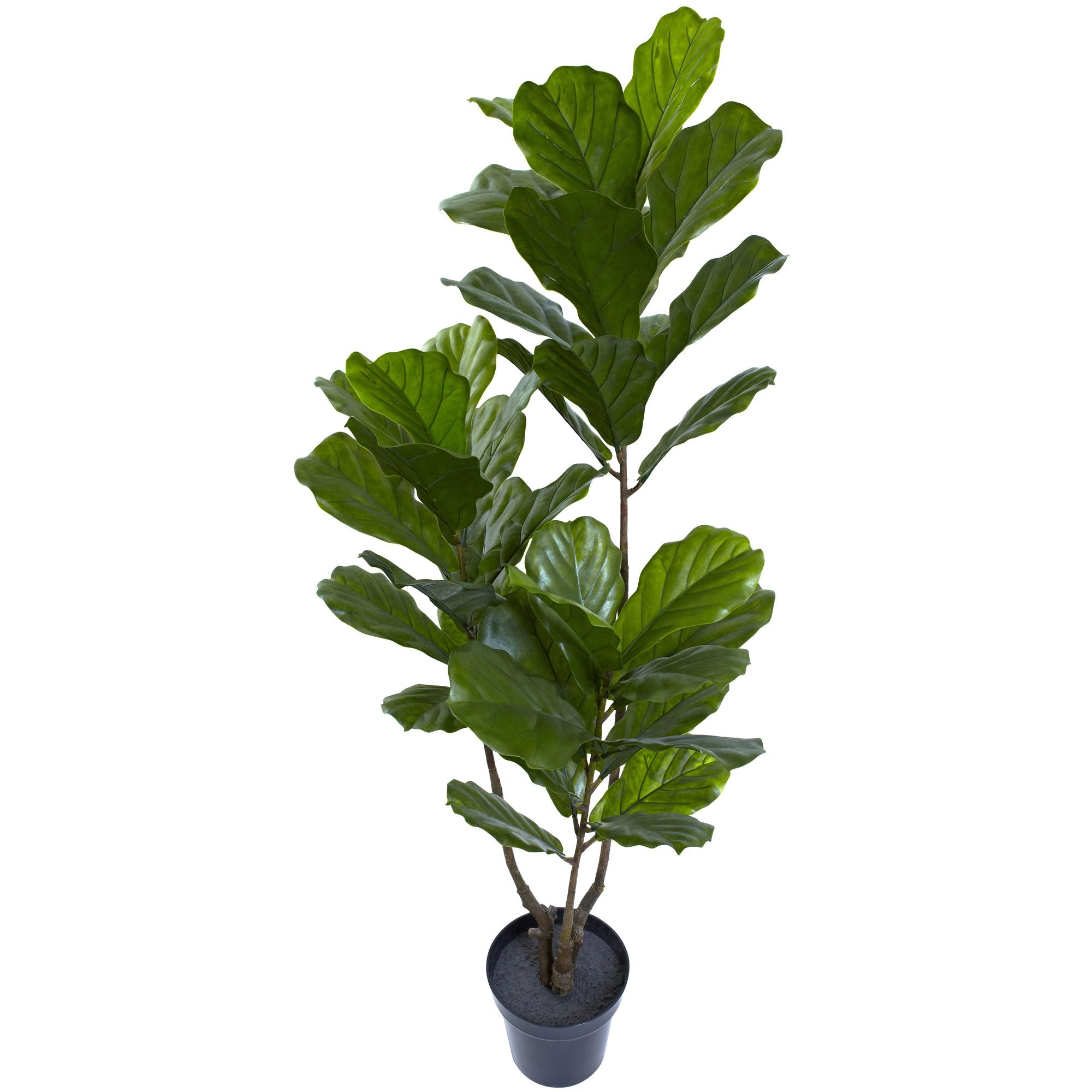 65 - inch Artificial Fiddle Leaf Tree with 3 Trunks | Zigeze