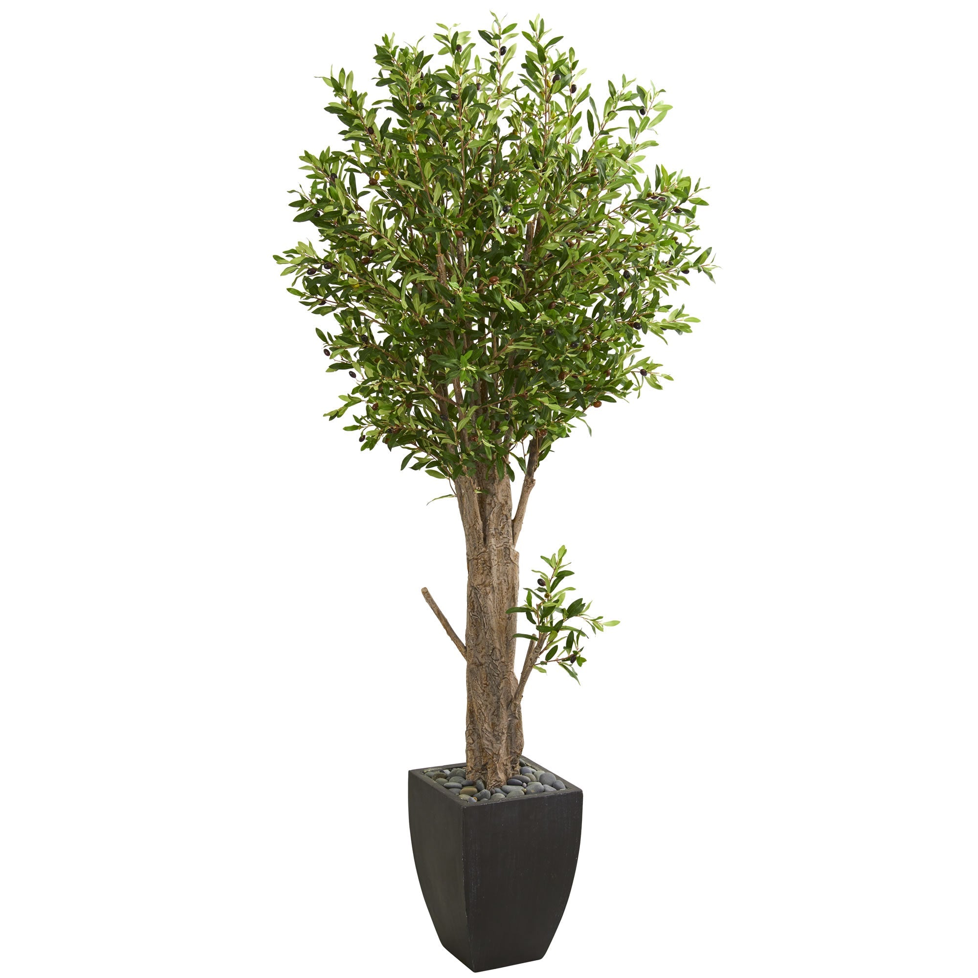 6.5' Olive Artificial Tree in Black Planter | Zigeze