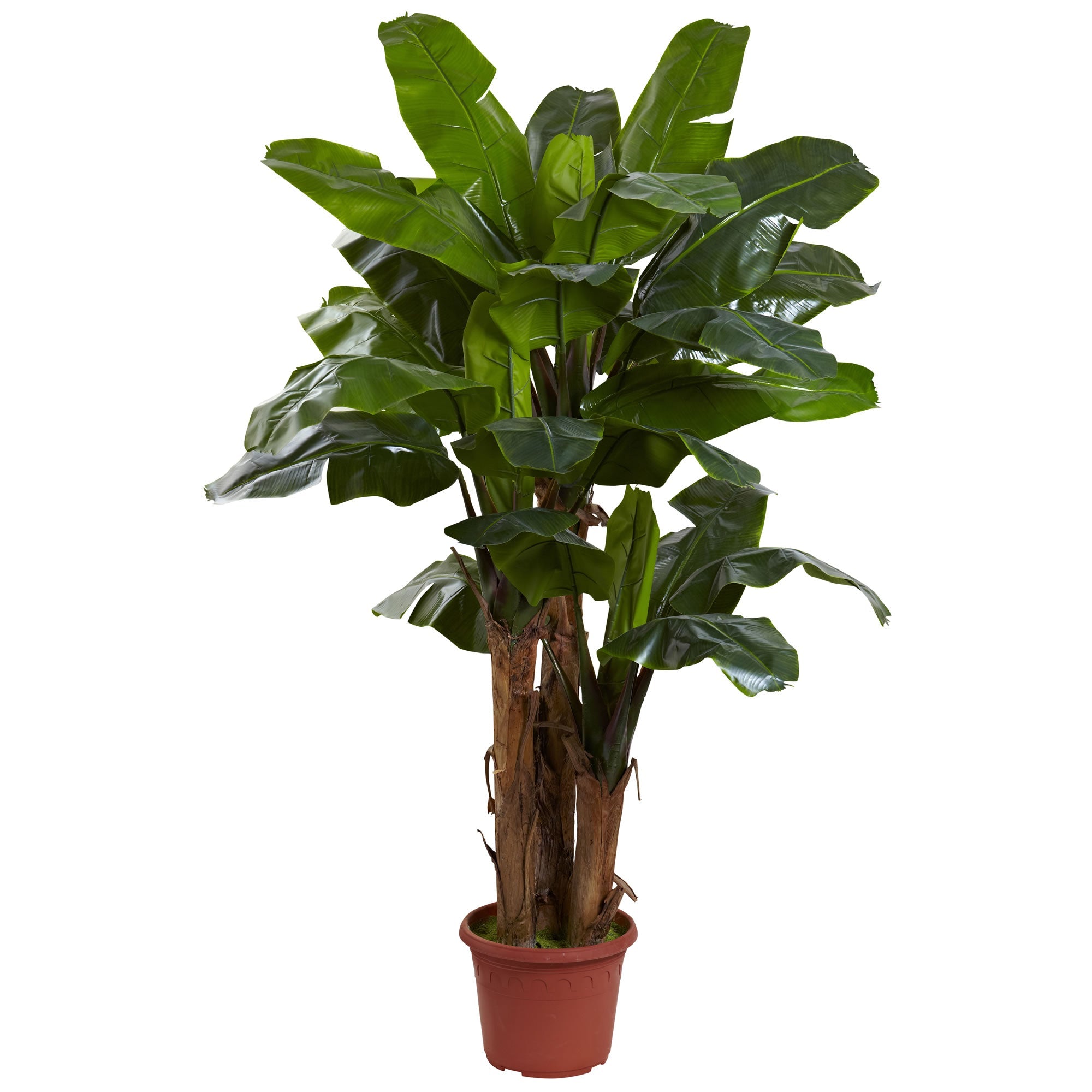 7 - Foot Artificial Giant Triple Stalk Banana Tree | Zigeze