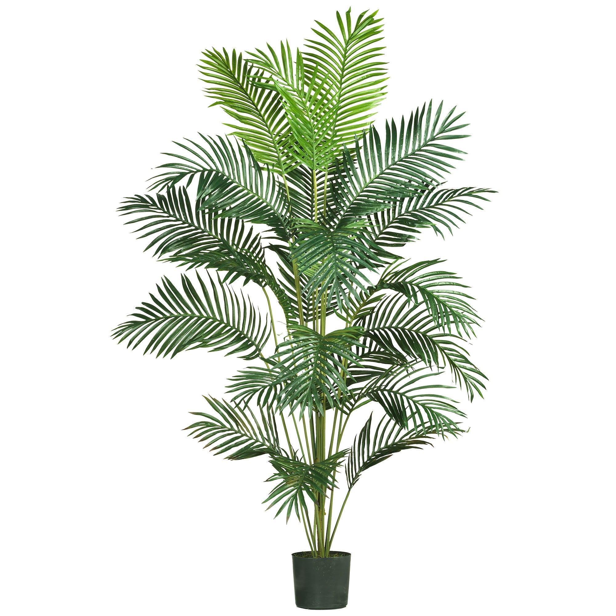 7 - Foot Artificial Paradise Palm Silk Tree | Zigeze