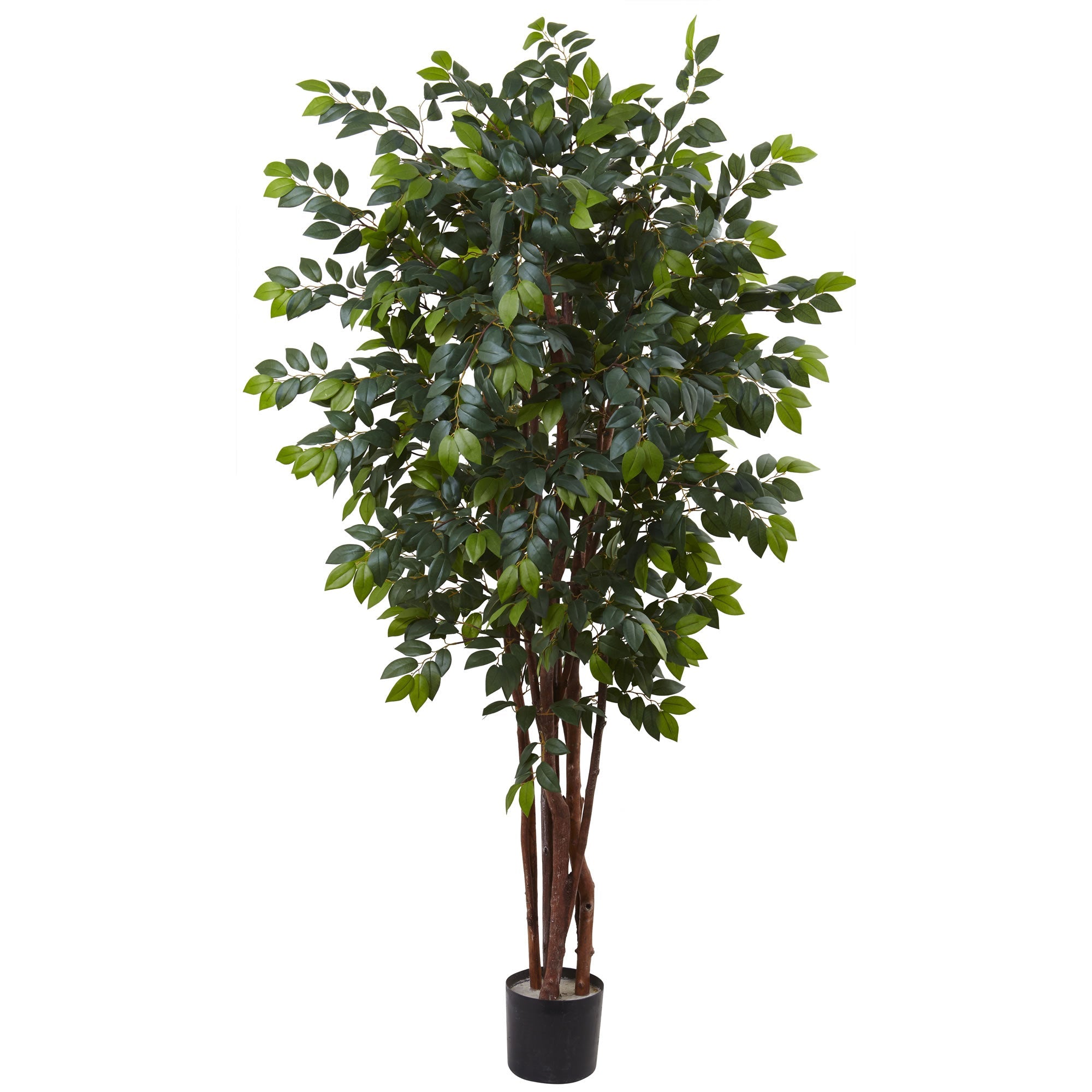 7 - foot Majestic Sakaki Artificial Silk Tree | Zigeze