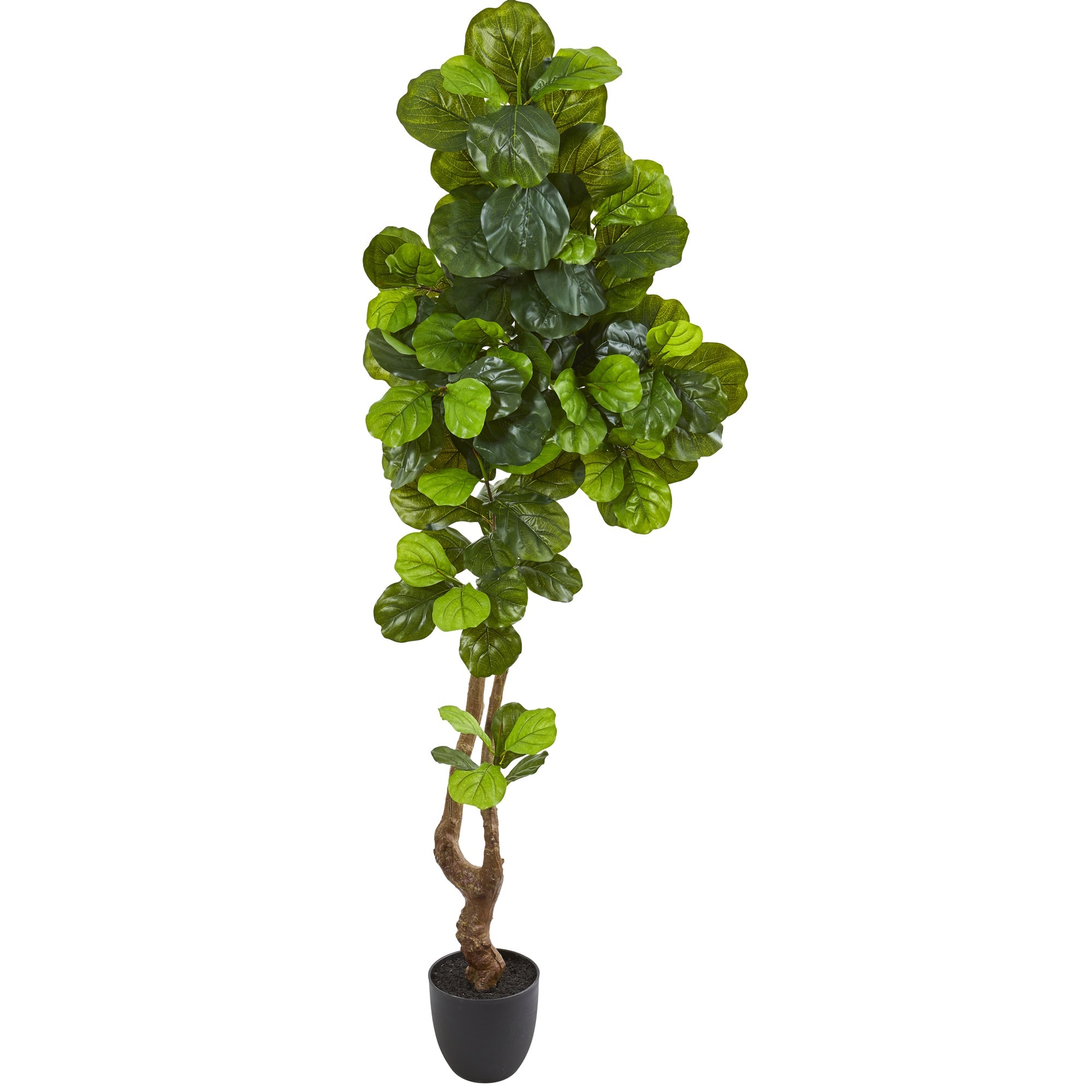 78" Fiddle Leaf Artificial Tree (Real Touch) | Zigeze