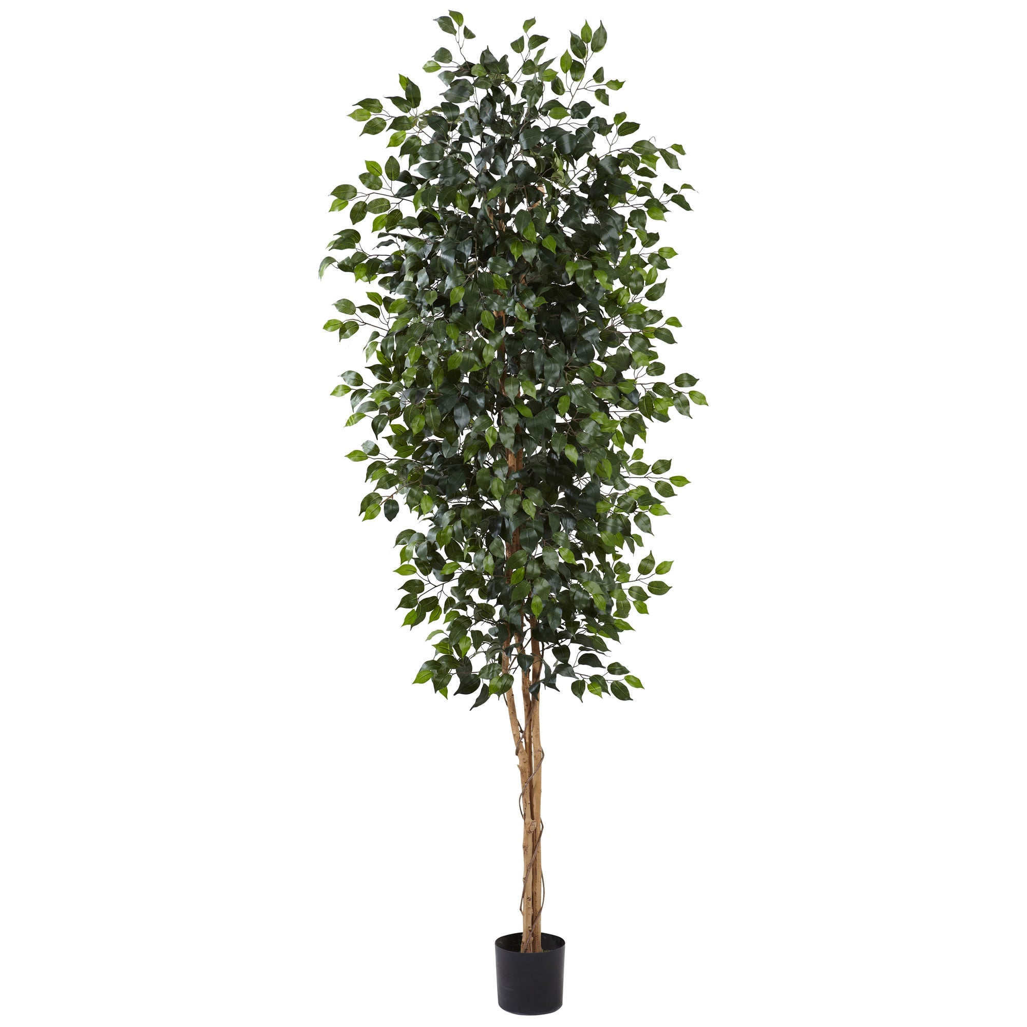 8 - Foot Artificial Ficus Tree with 1,512 Leaves | Zigeze