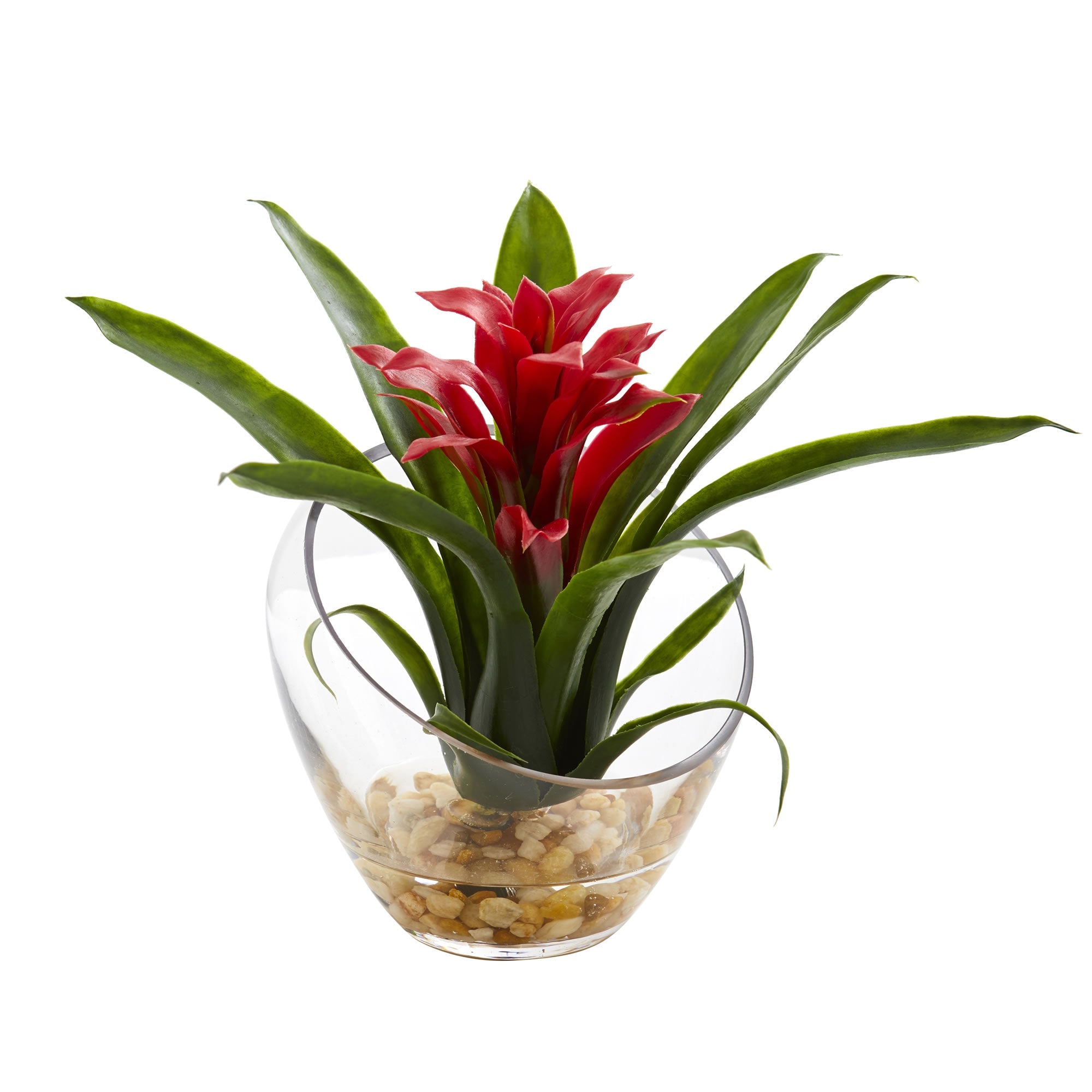8" Tropical Red Bromeliad in an Angled Vase | Zigeze