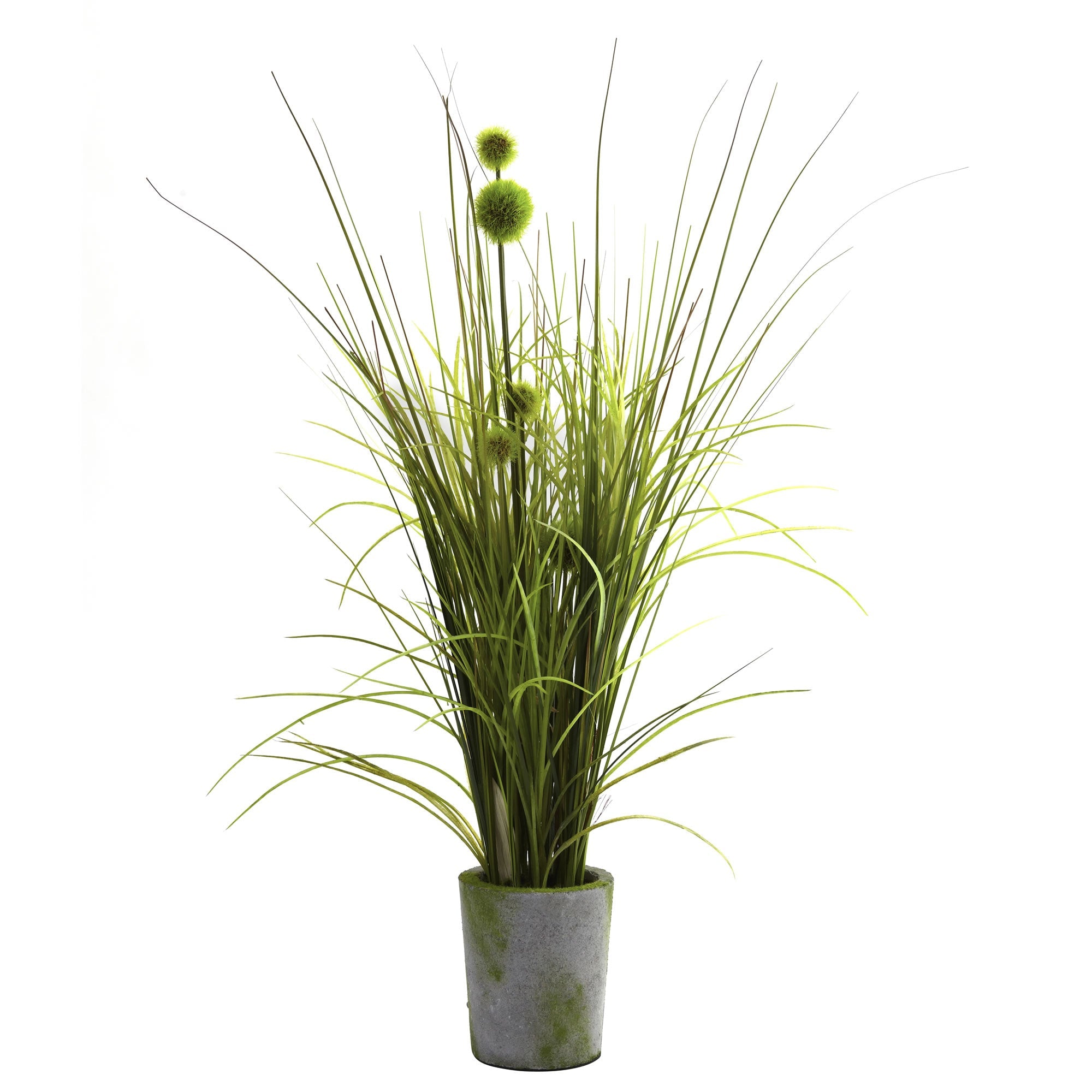 Artificial Grass & Dandelion with Cement Planter | Zigeze