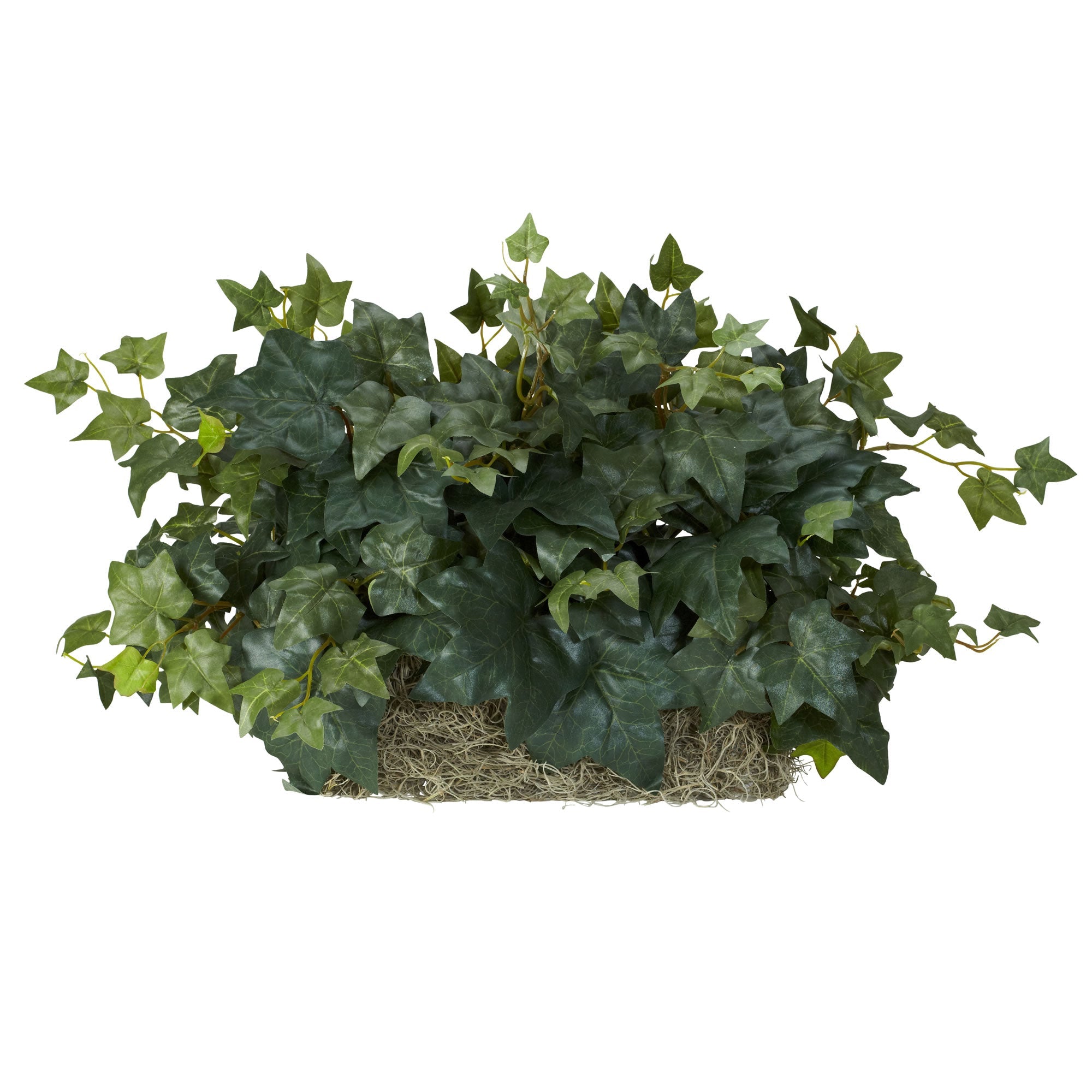 Artificial Ivy Ledge Silk Plant Set on Foam Sheet | Zigeze