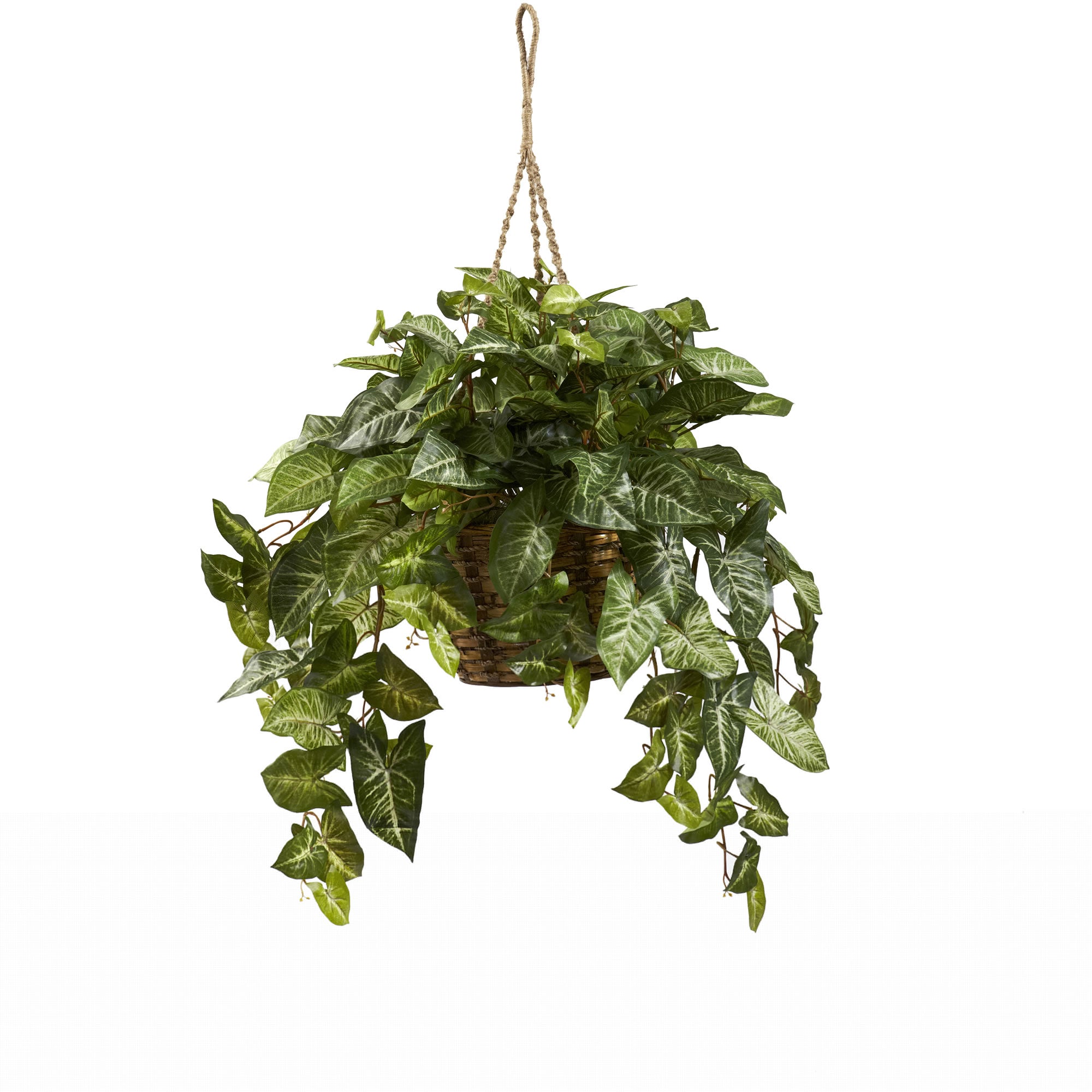 Artificial Nepthytis Plant in a Hanging Basket | Zigeze