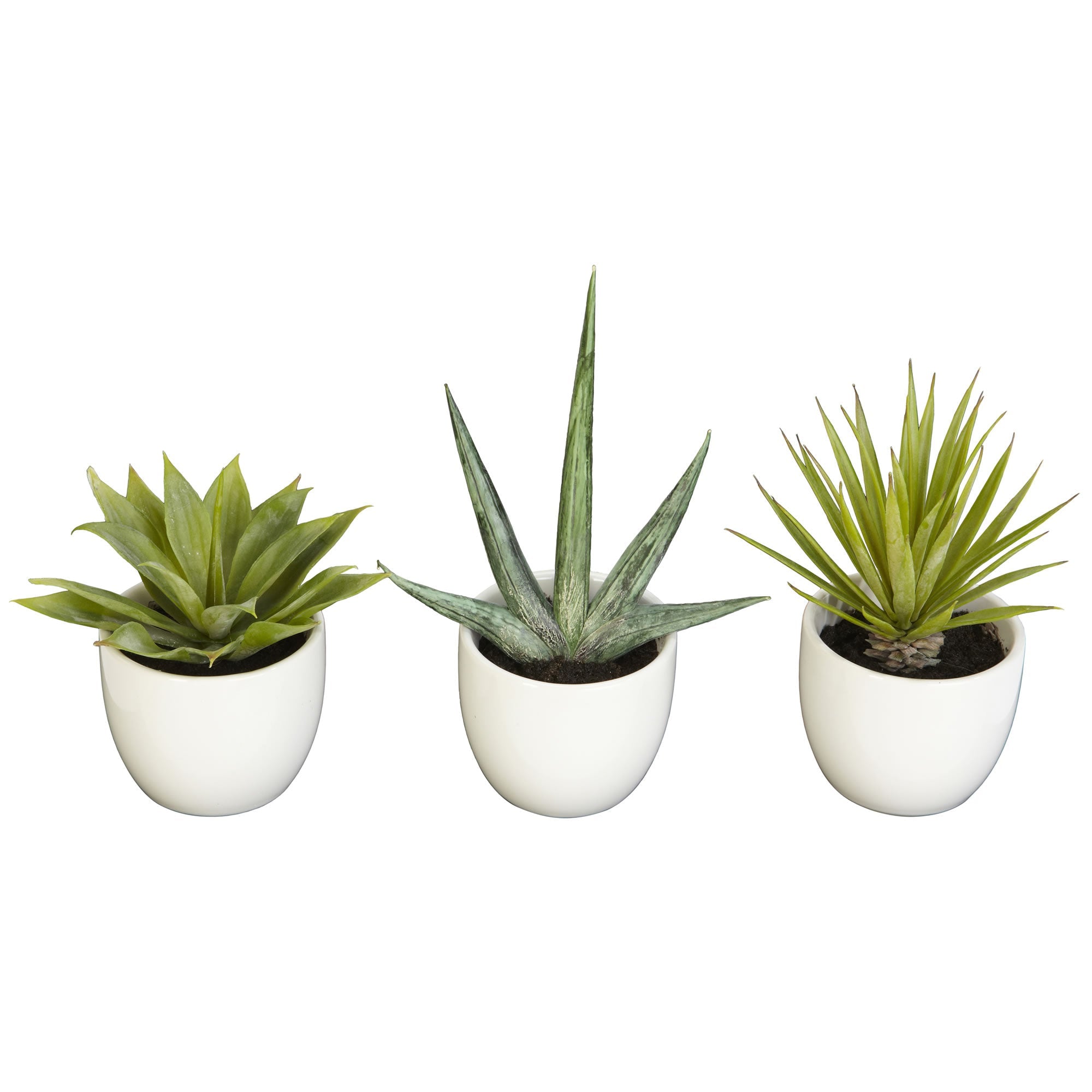 Artificial Southwest Agave Collection, Set of 3 | Zigeze