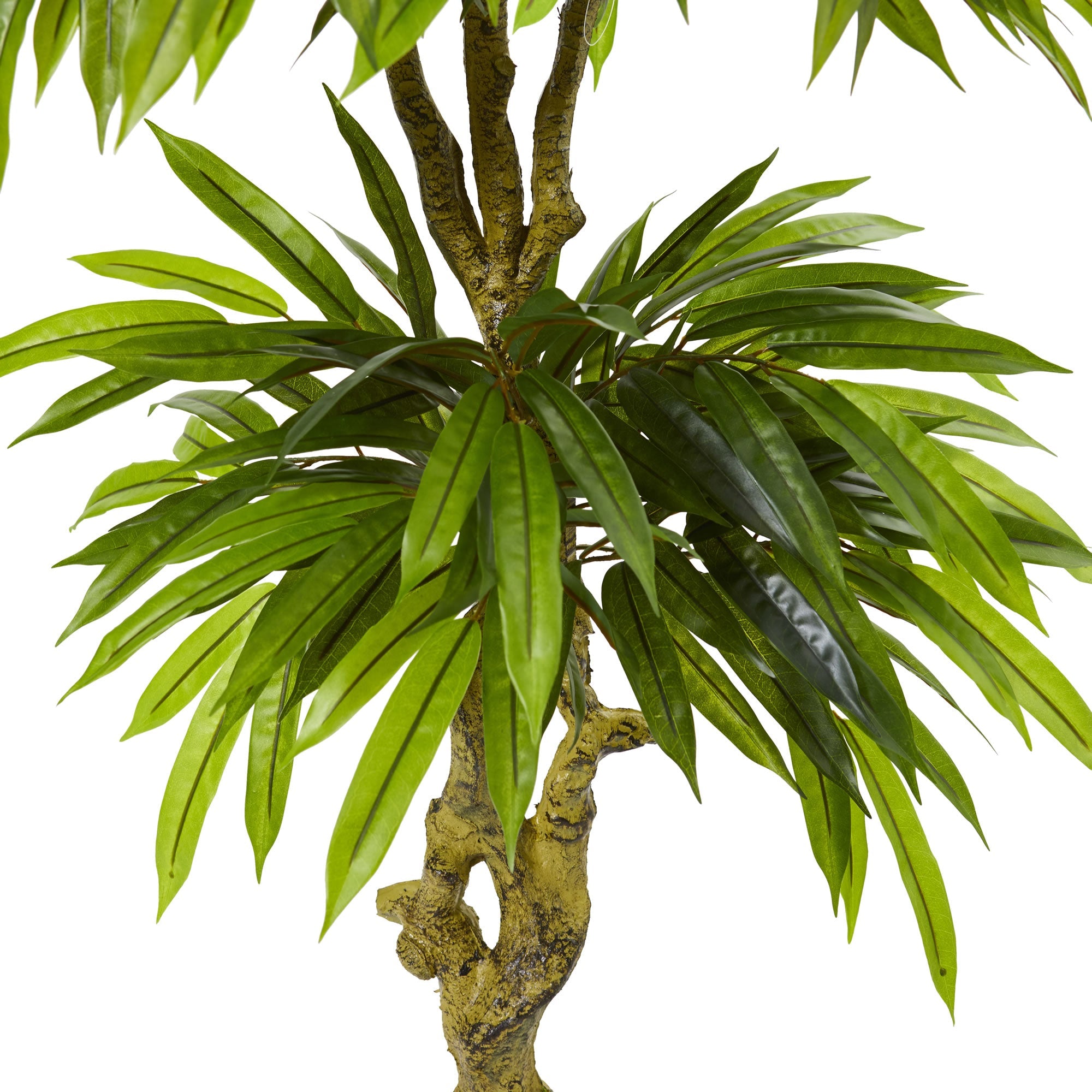 Artificial Tropical Slim Mango Silk Indoor/Outdoor Tree | Zigeze