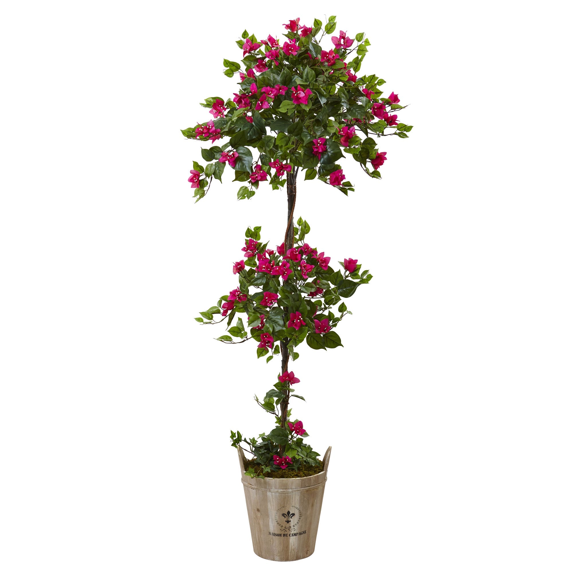 Bougainvillea Tree with European Barrel Planter | Zigeze